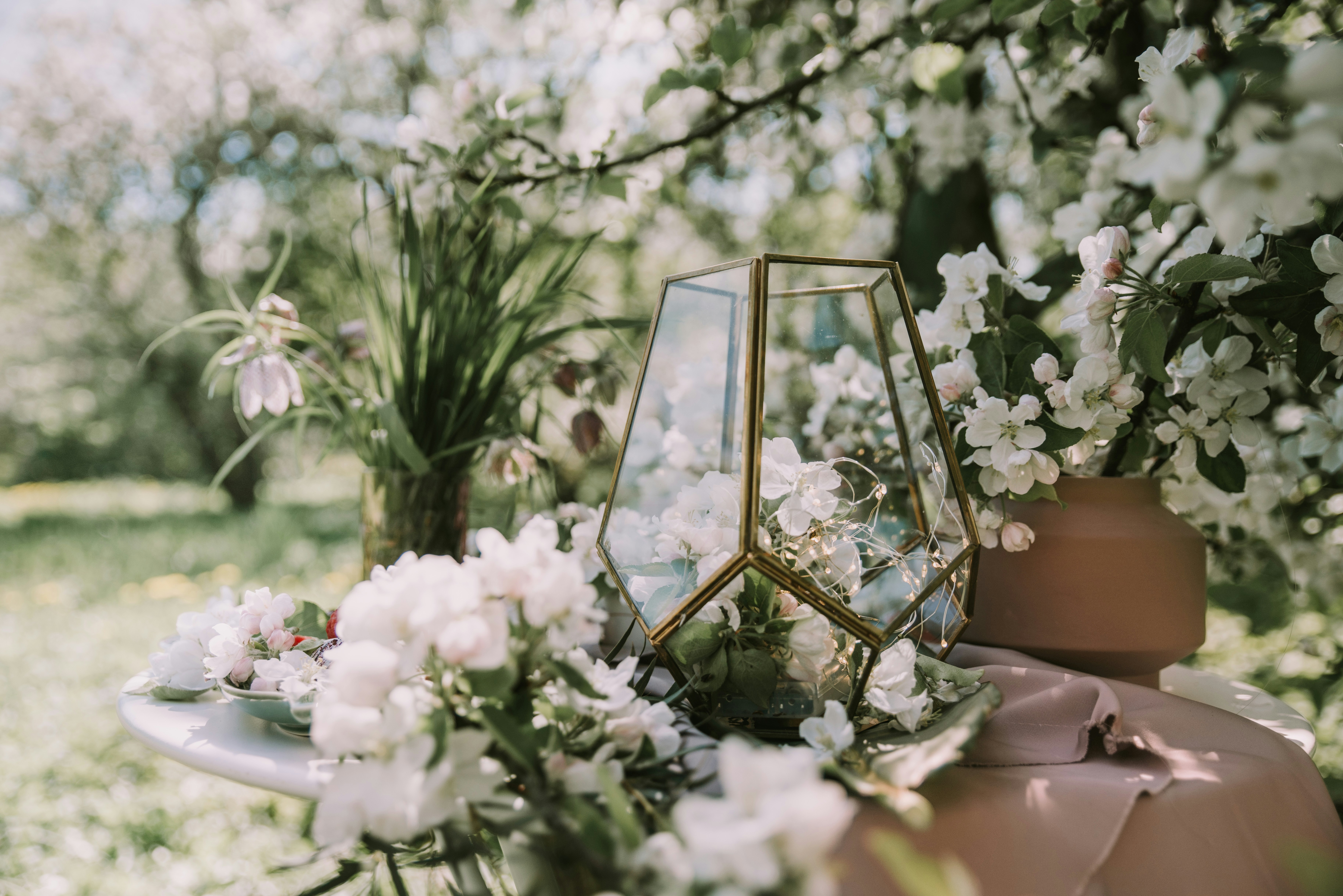 Photo by anitaaustvika