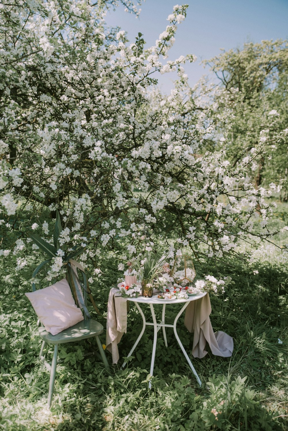 a table and chairs in the grass under a tree