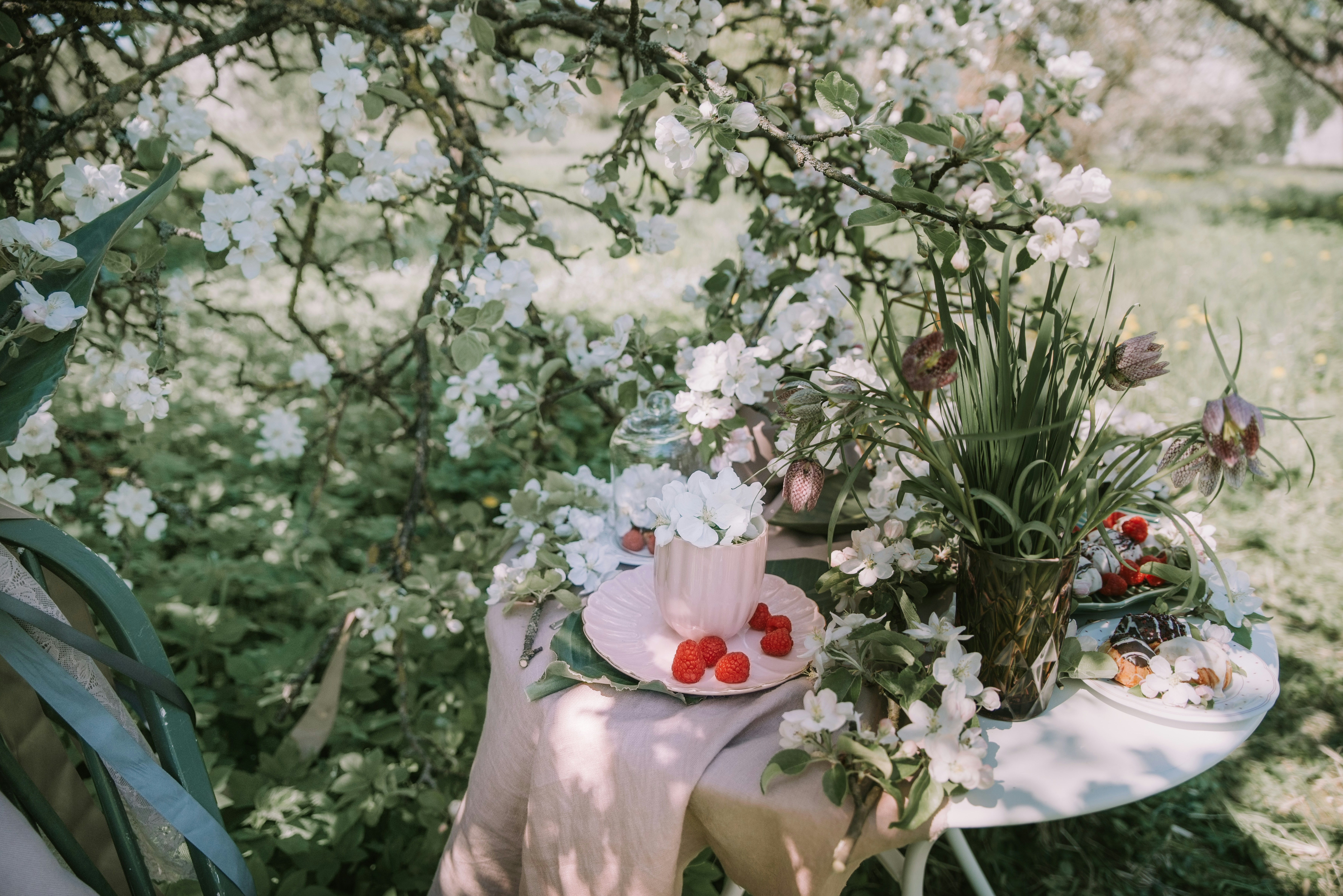 Photo by anitaaustvika