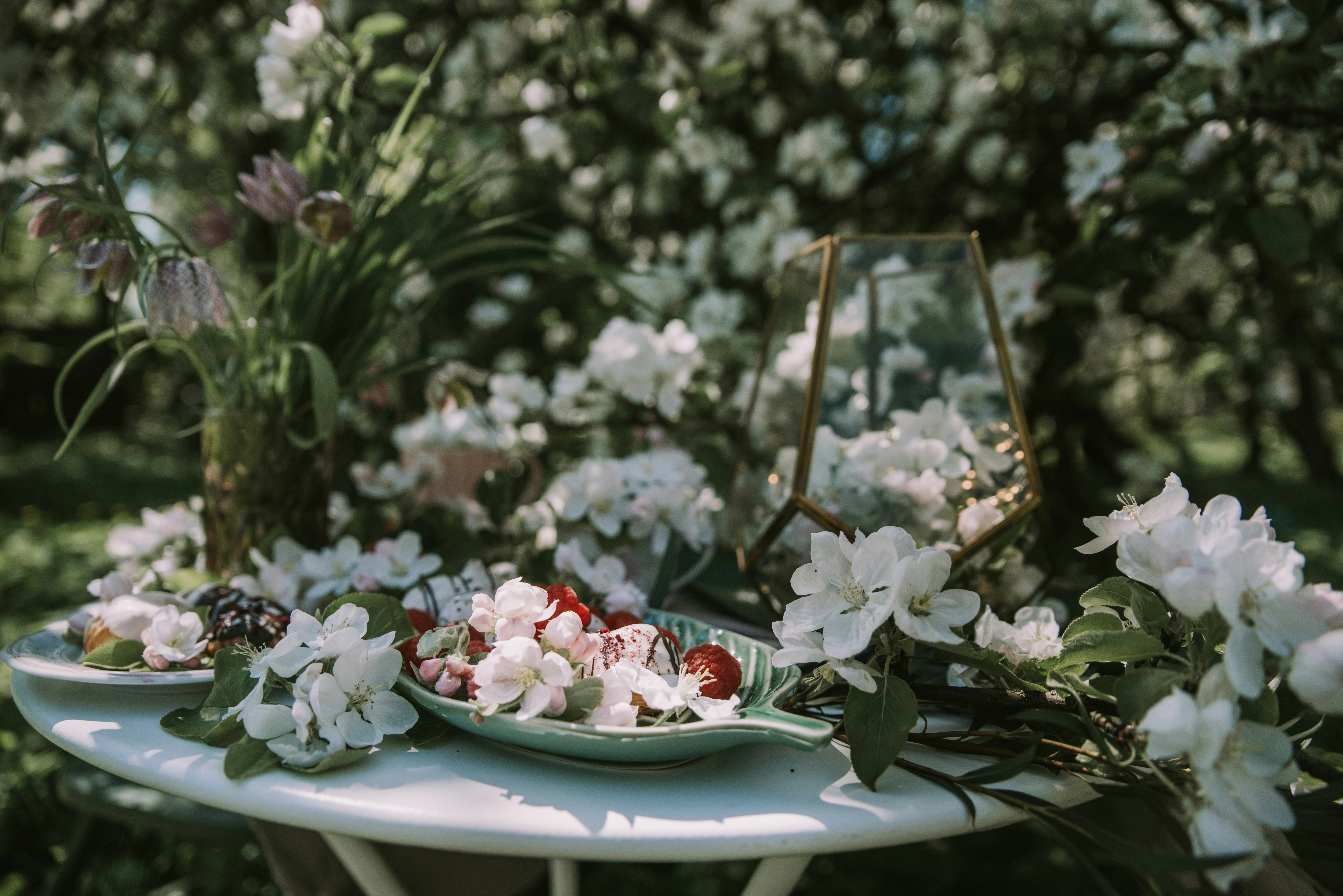 Photo by anitaaustvika