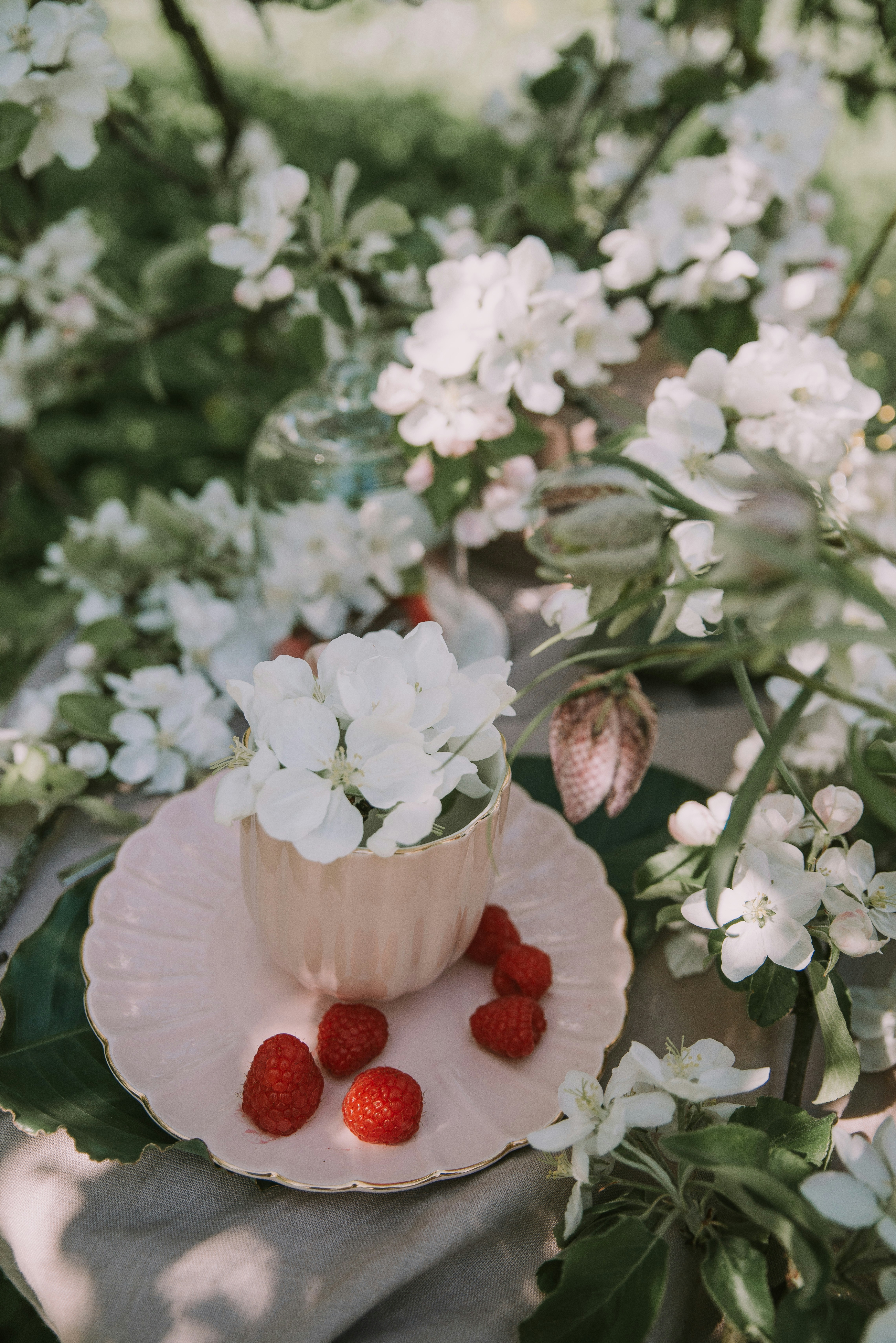 Photo by anitaaustvika