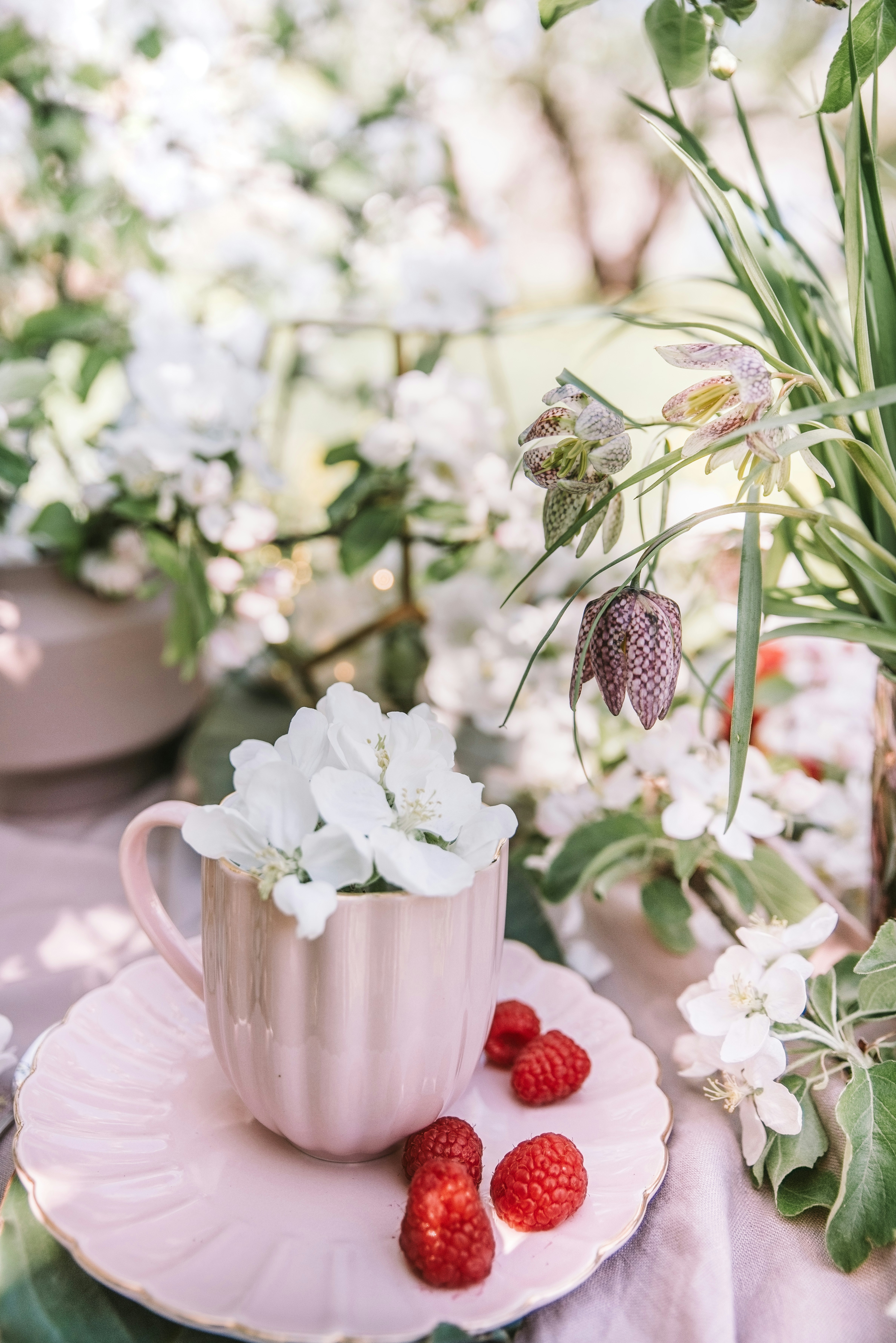 Photo by anitaaustvika