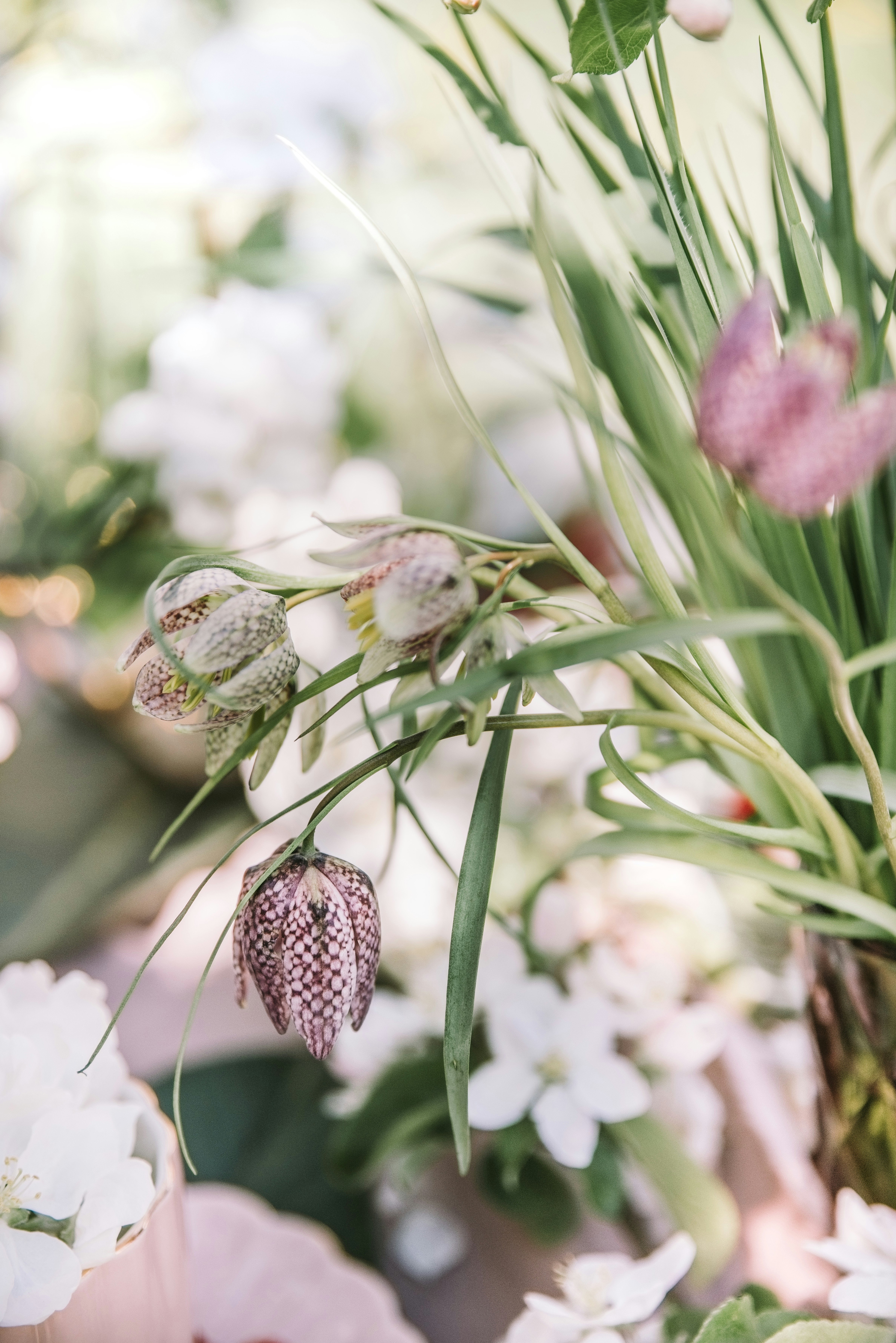 Photo by anitaaustvika