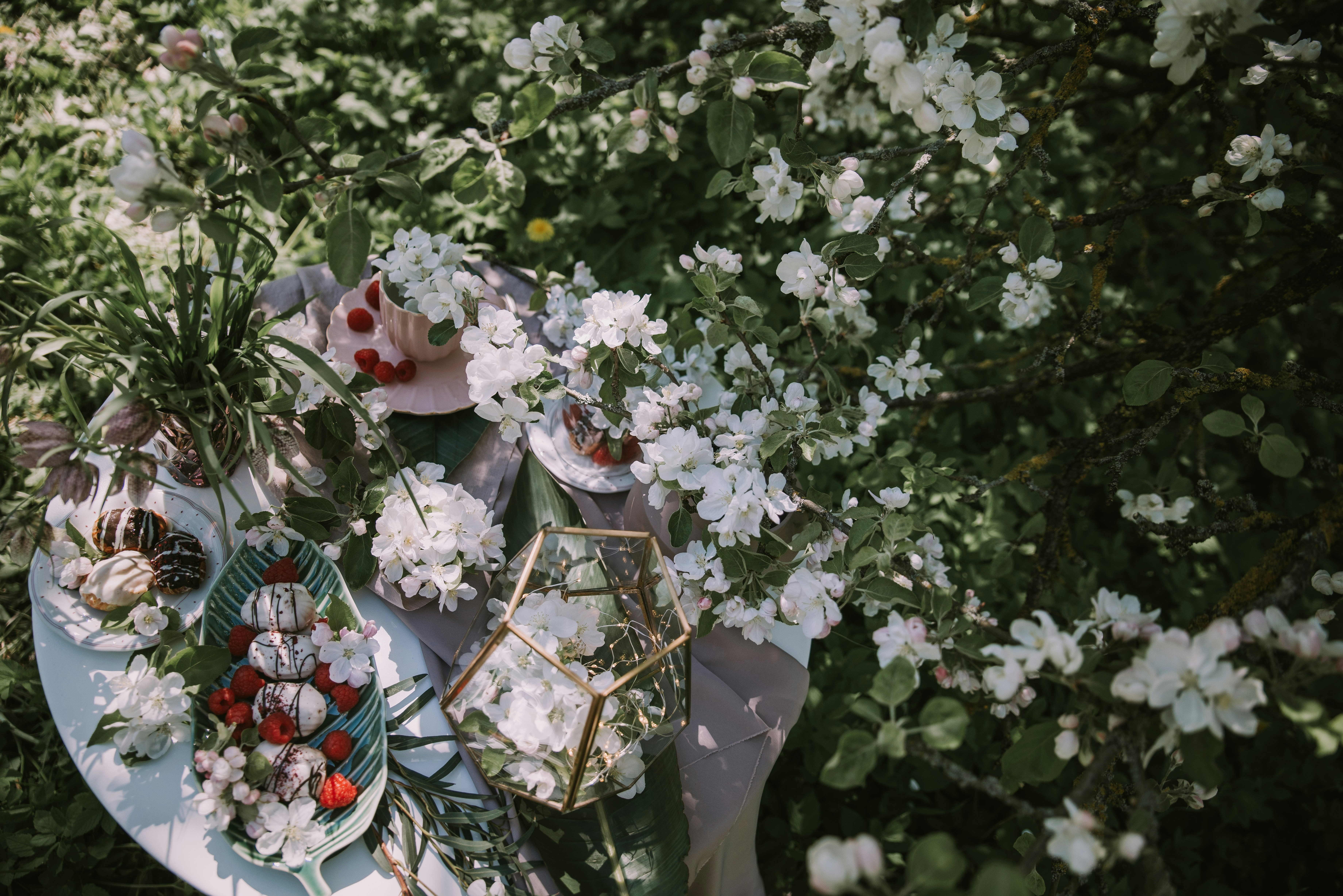 Photo by anitaaustvika