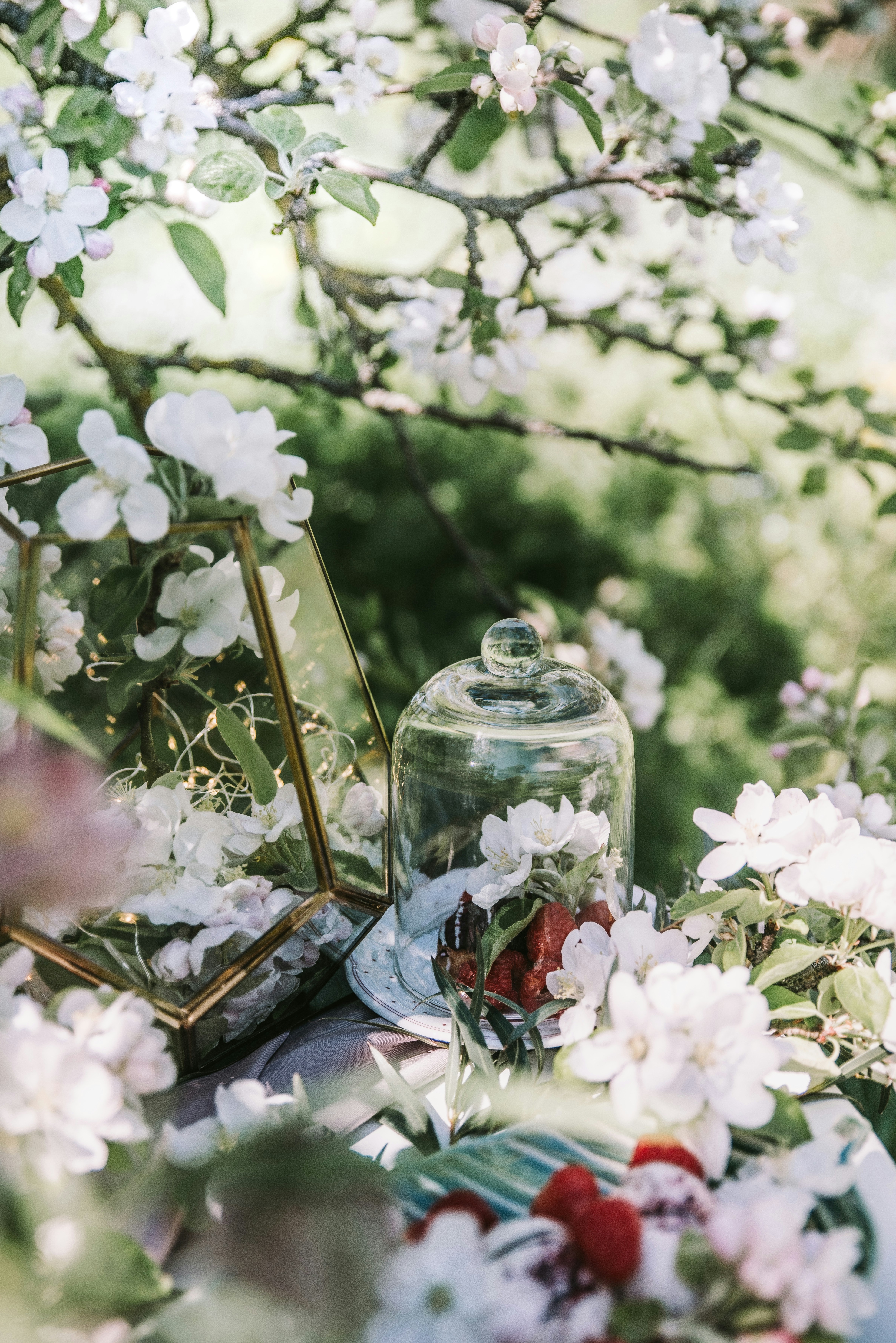 Photo by anitaaustvika