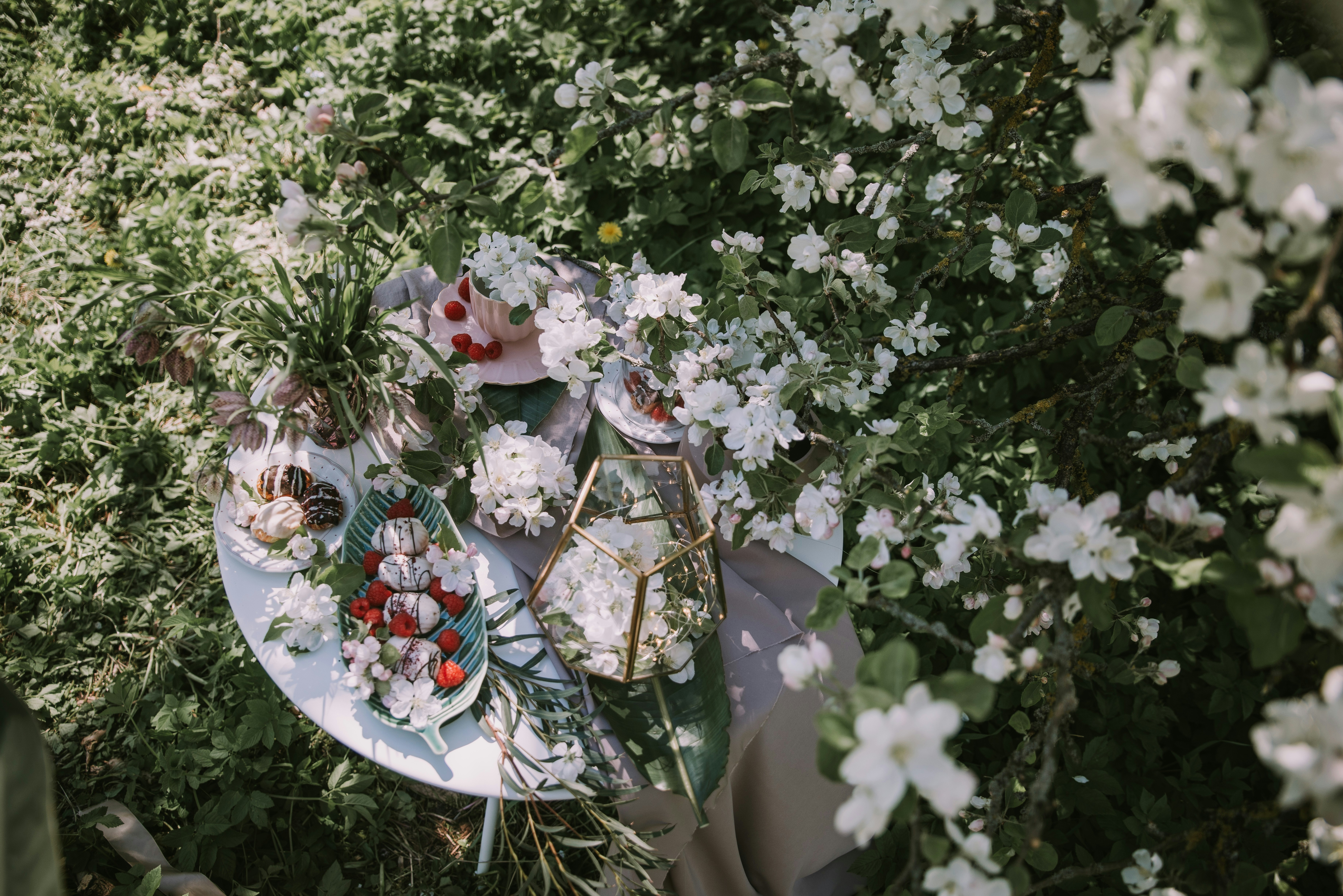 Photo by anitaaustvika