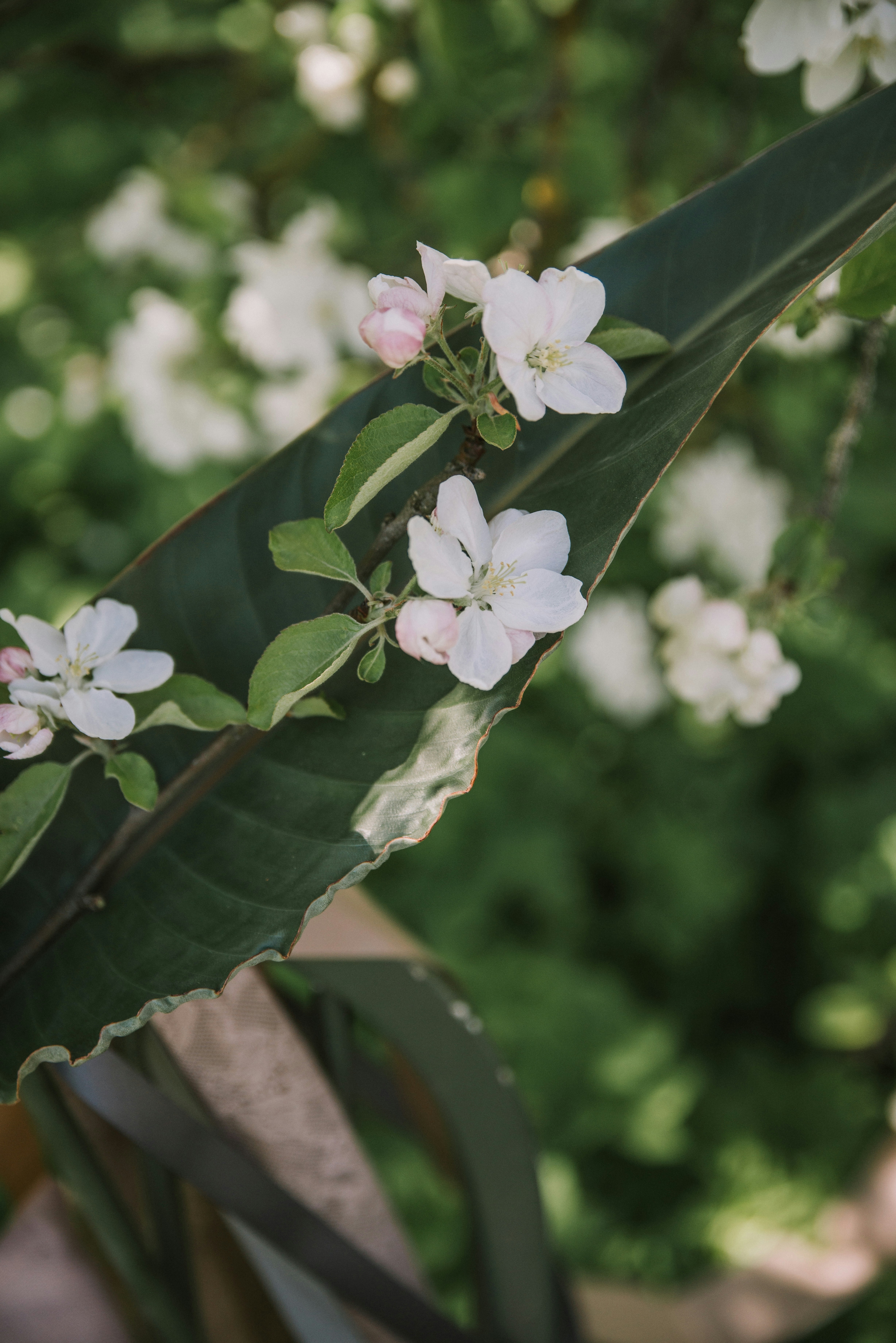 Photo by anitaaustvika