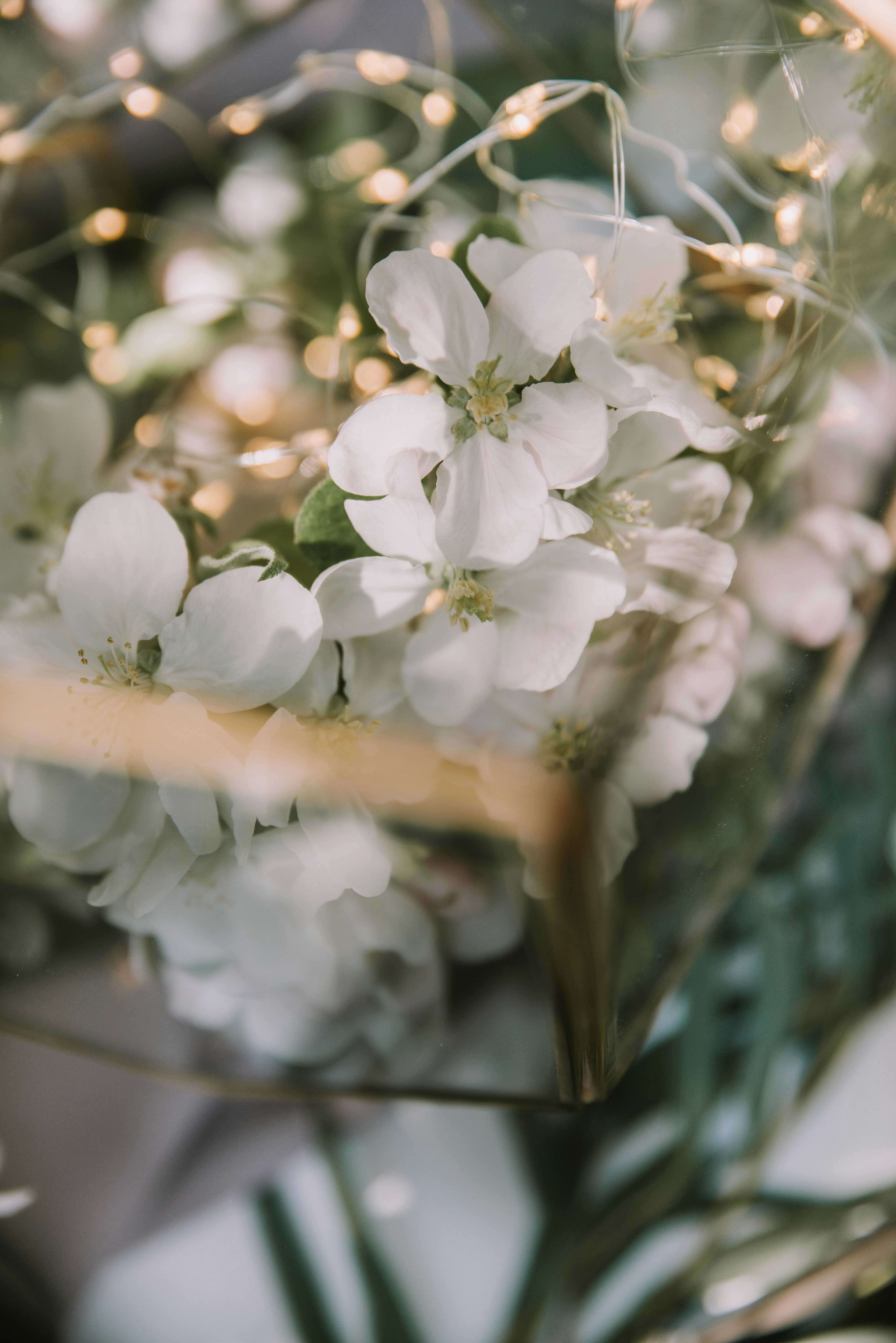 Photo by anitaaustvika