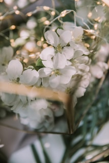 An elegant event scene bathed in soft white light, highlighting candid smiles and subtle details.
