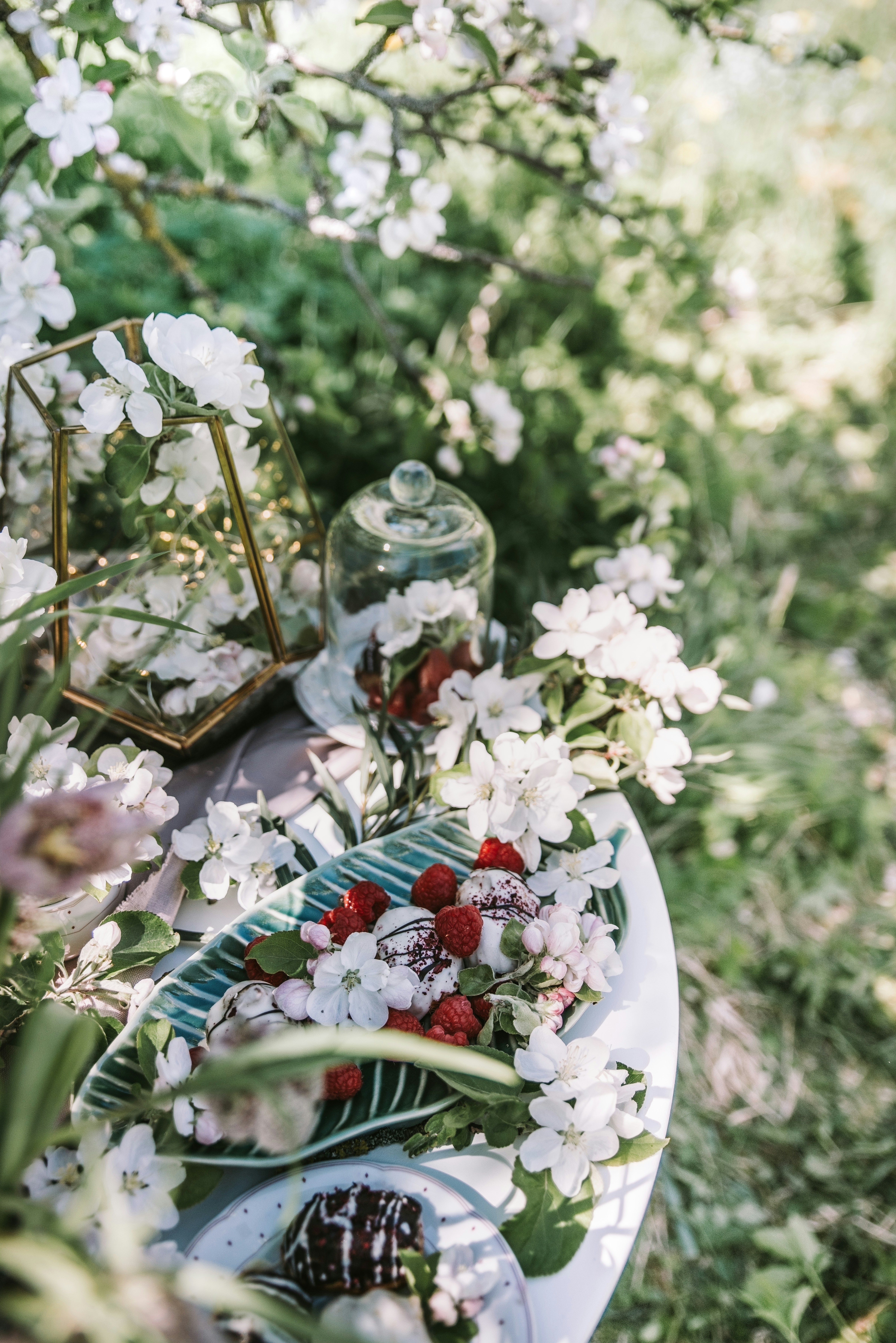 Photo by anitaaustvika