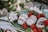 A plate with desserts drizzled in chocolate and garnished with raspberries and flowers. The dish features three white, chocolate-drizzled confections, artfully presented with fresh fruit and delicate floral accents. Green foliage surrounds the arrangement, adding a natural touch.