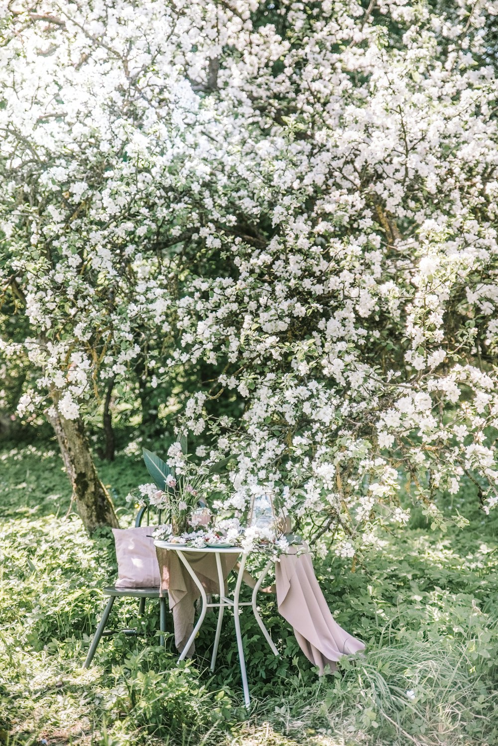 a table and chairs under a flowering tree