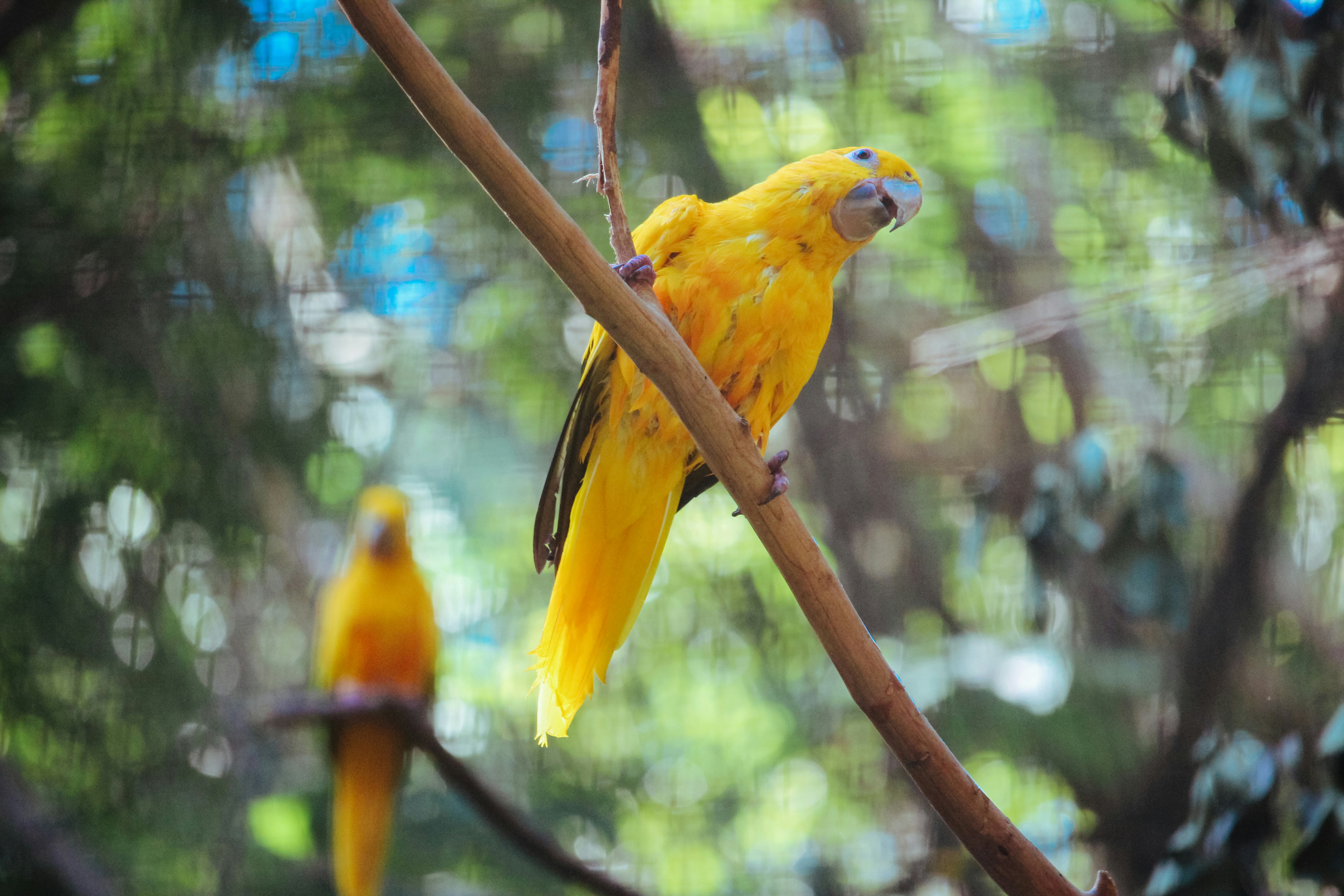 Photo by claudiocmota