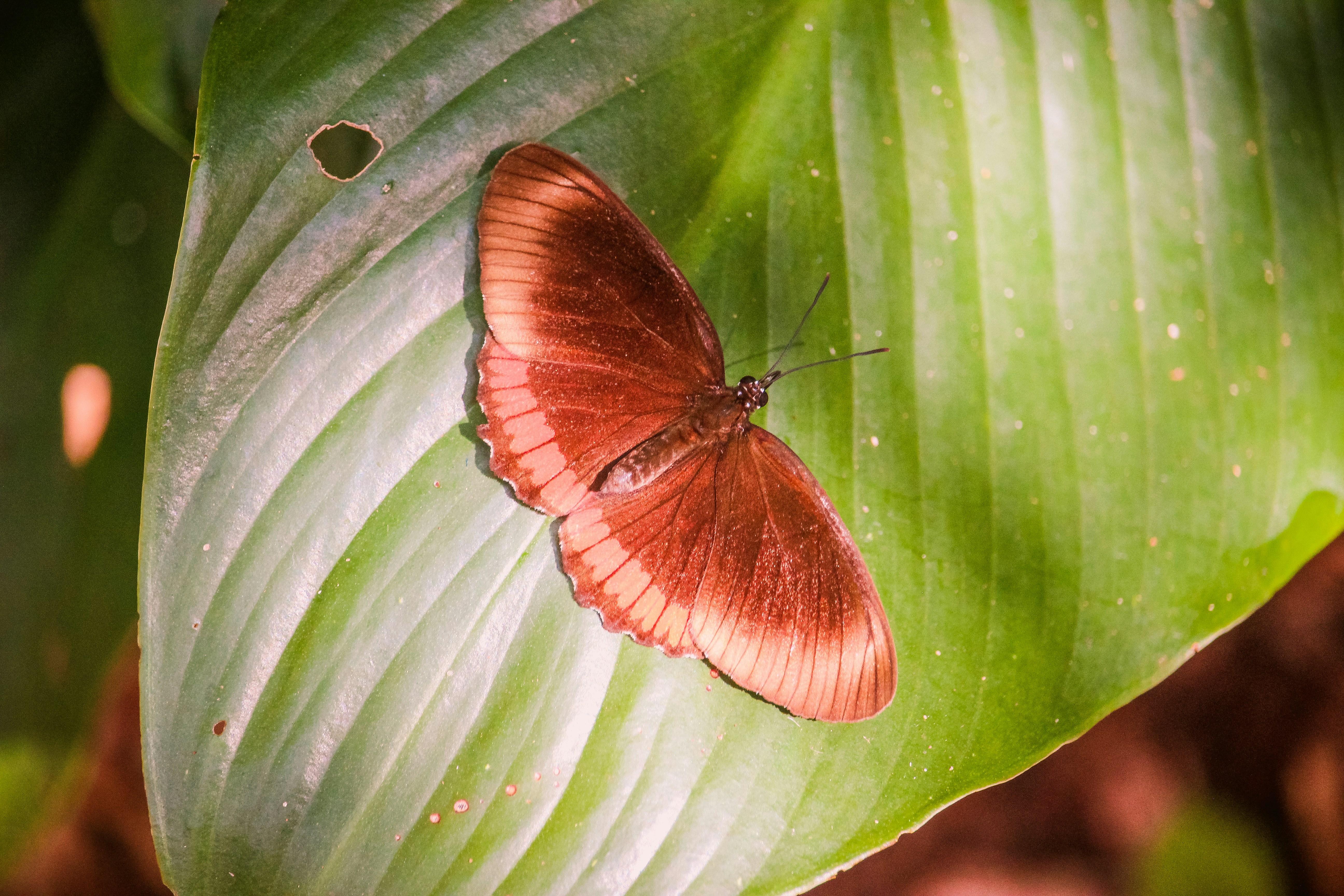 Photo by claudiocmota