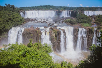 The thundering Victoria Falls cascading into mist, framed by lush green foliage.