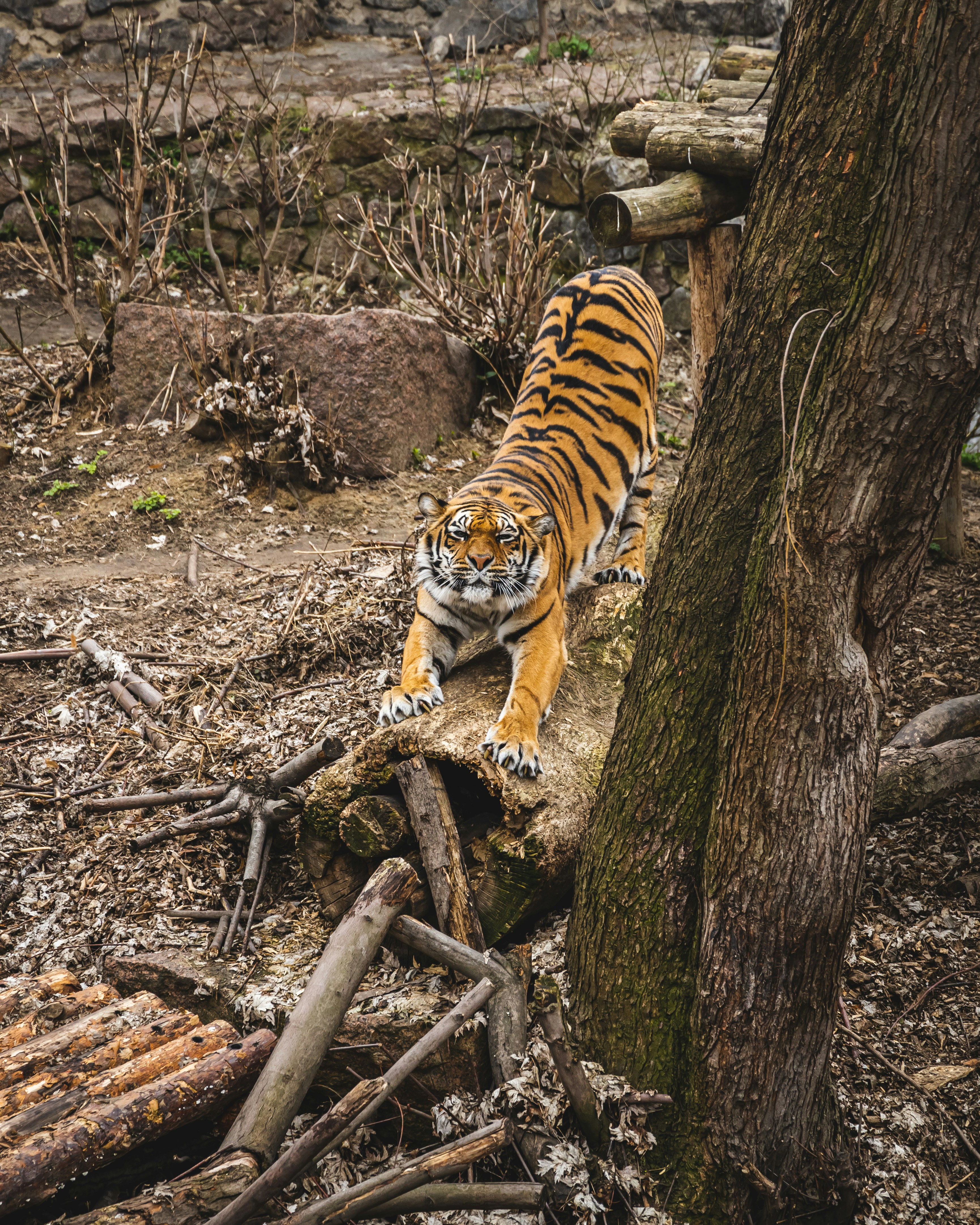 Climbing with Confidence (image credits: unsplash)