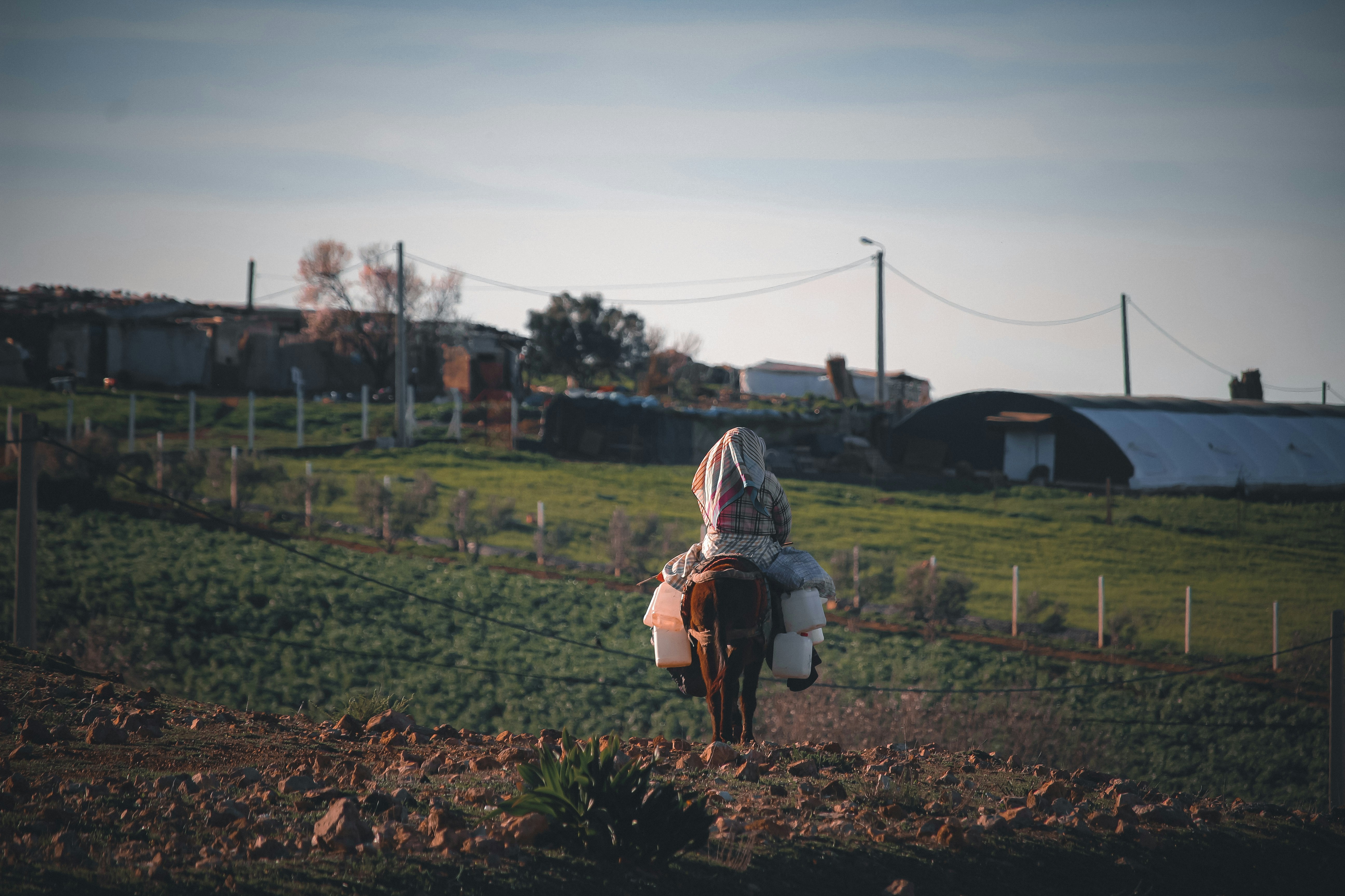 This picture shows an old woman fetching drinking water from a faraway region, relying on her loyal donkey