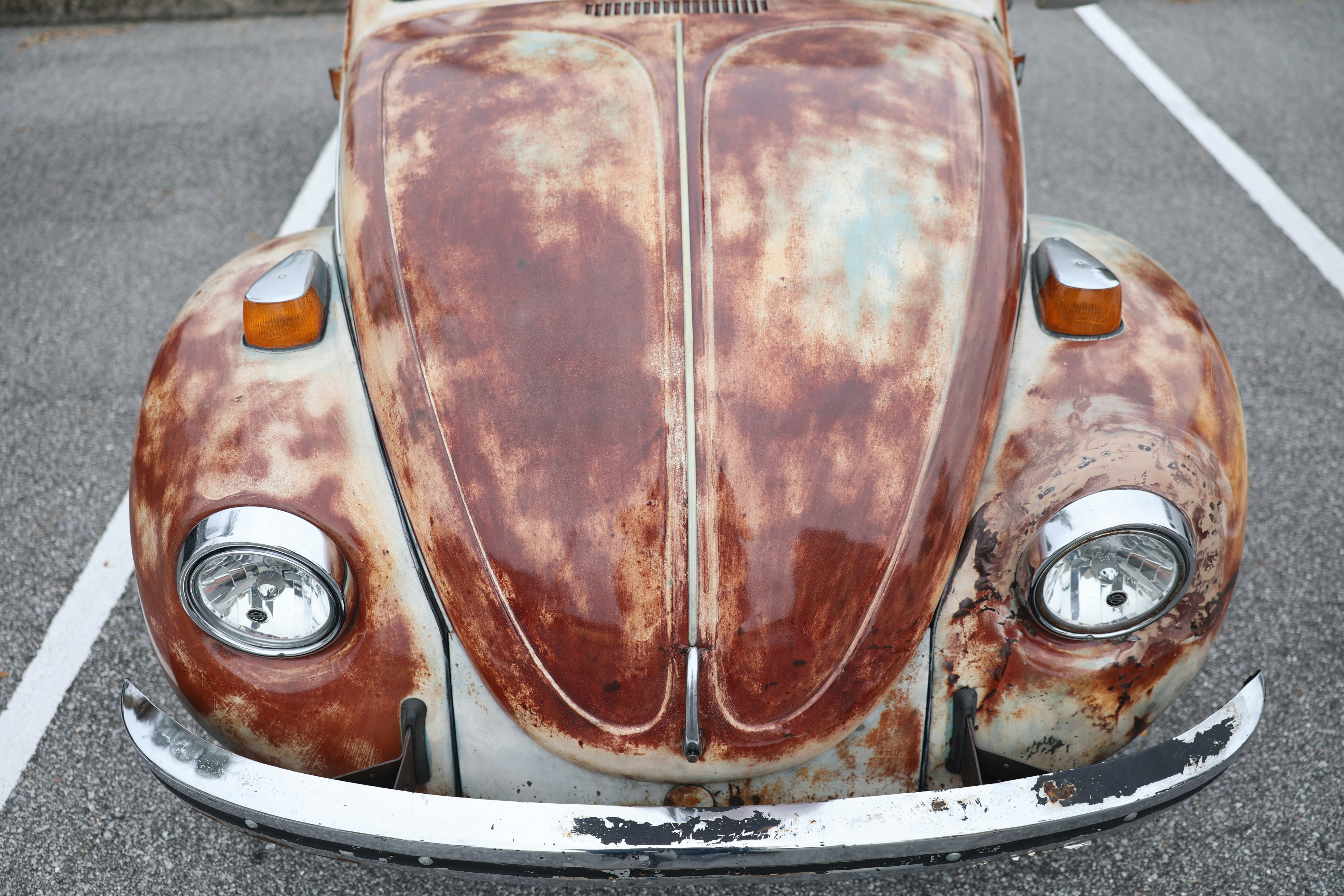 Photo by thephotochad