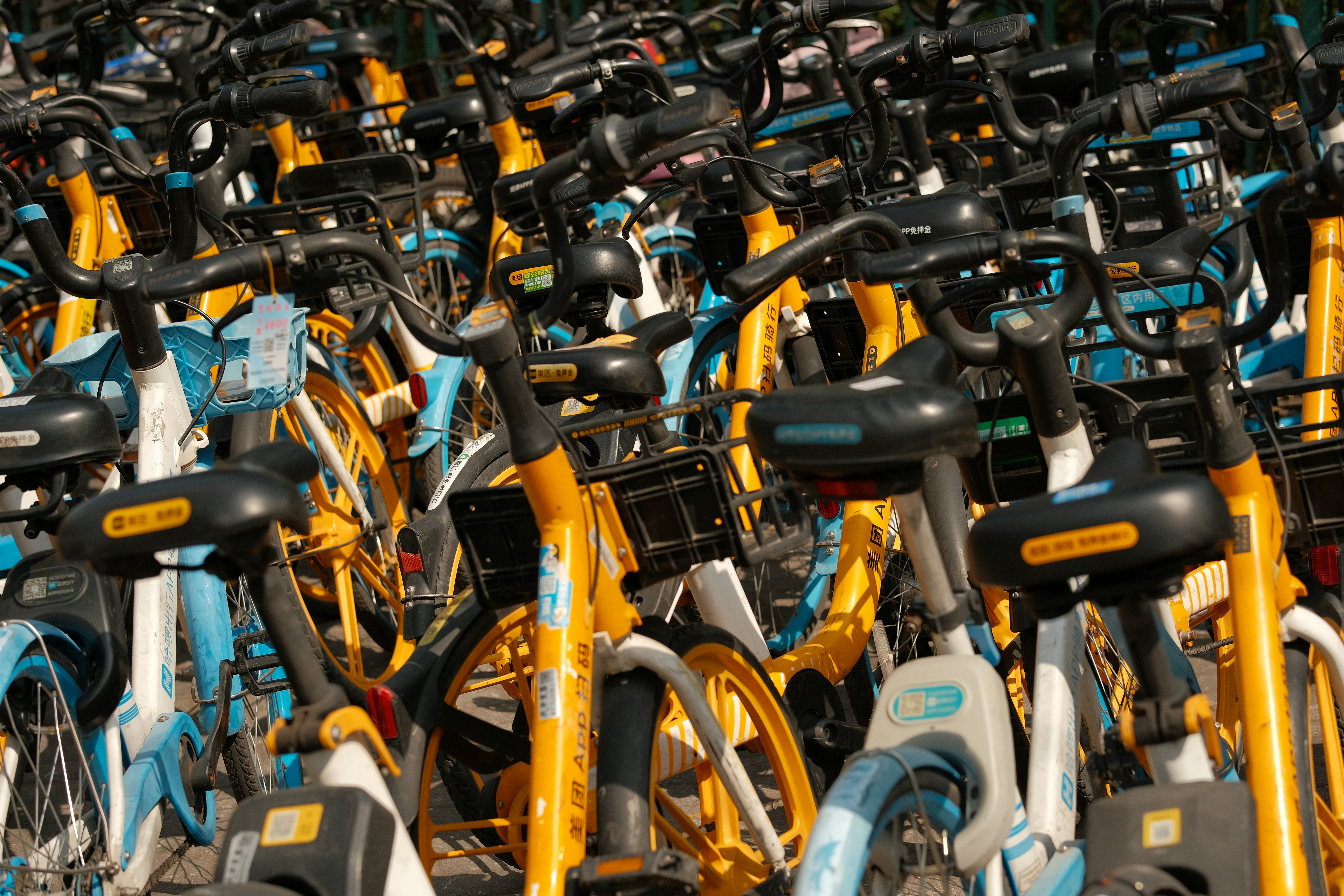 a large group of bicycles parked next to each other