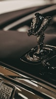 a close up of the hood ornament on a car
