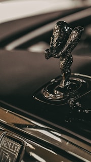 a close up of the hood ornament on a car