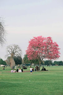 Volunteers planting trees together in a lively neighborhood park.