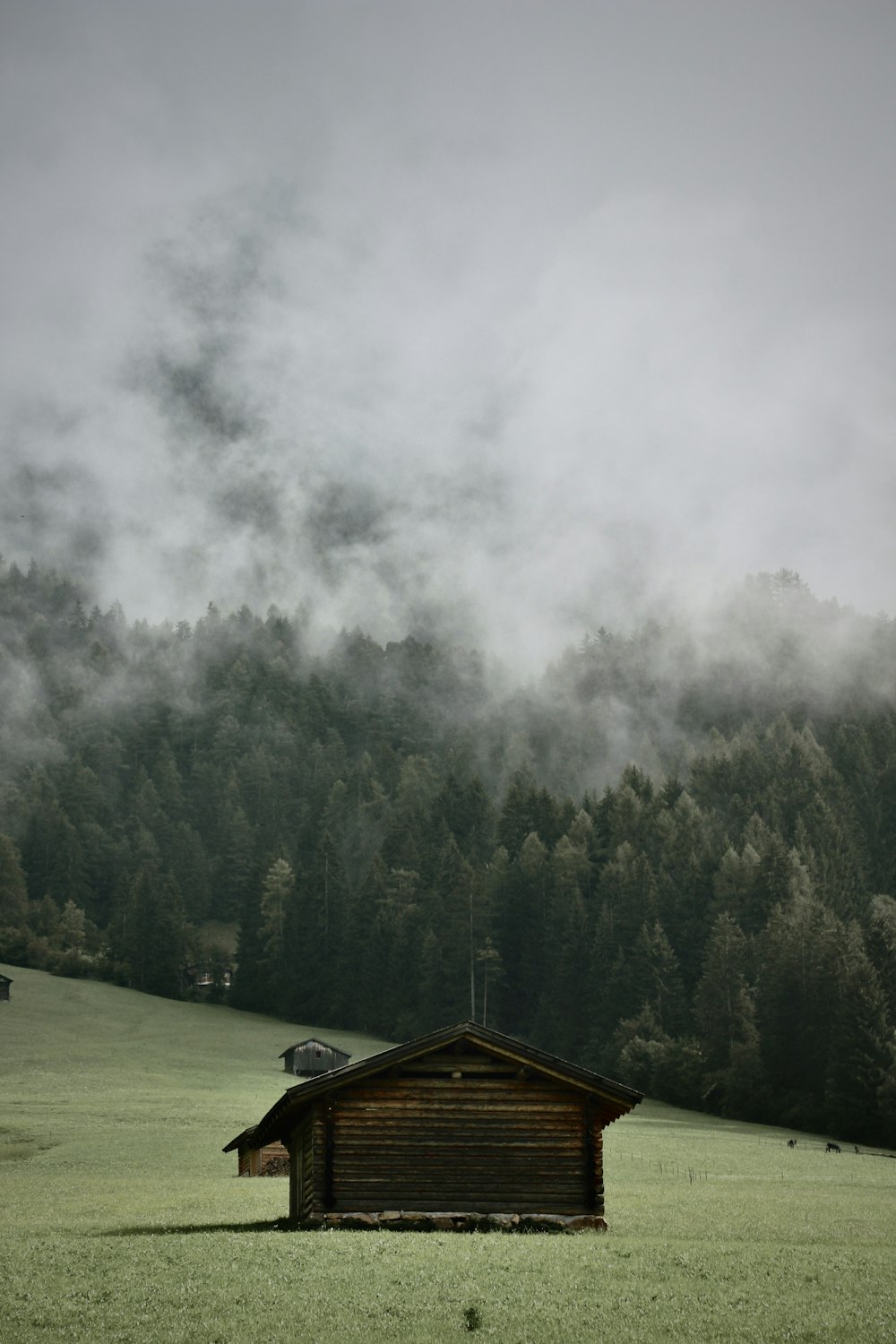 a cabin in the middle of a field with trees in the background