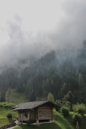 A small wooden cabin nestled among pine trees on a misty hillside.
