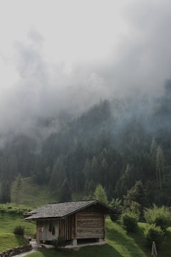 A small wooden cabin nestled among pine trees on a misty hillside.