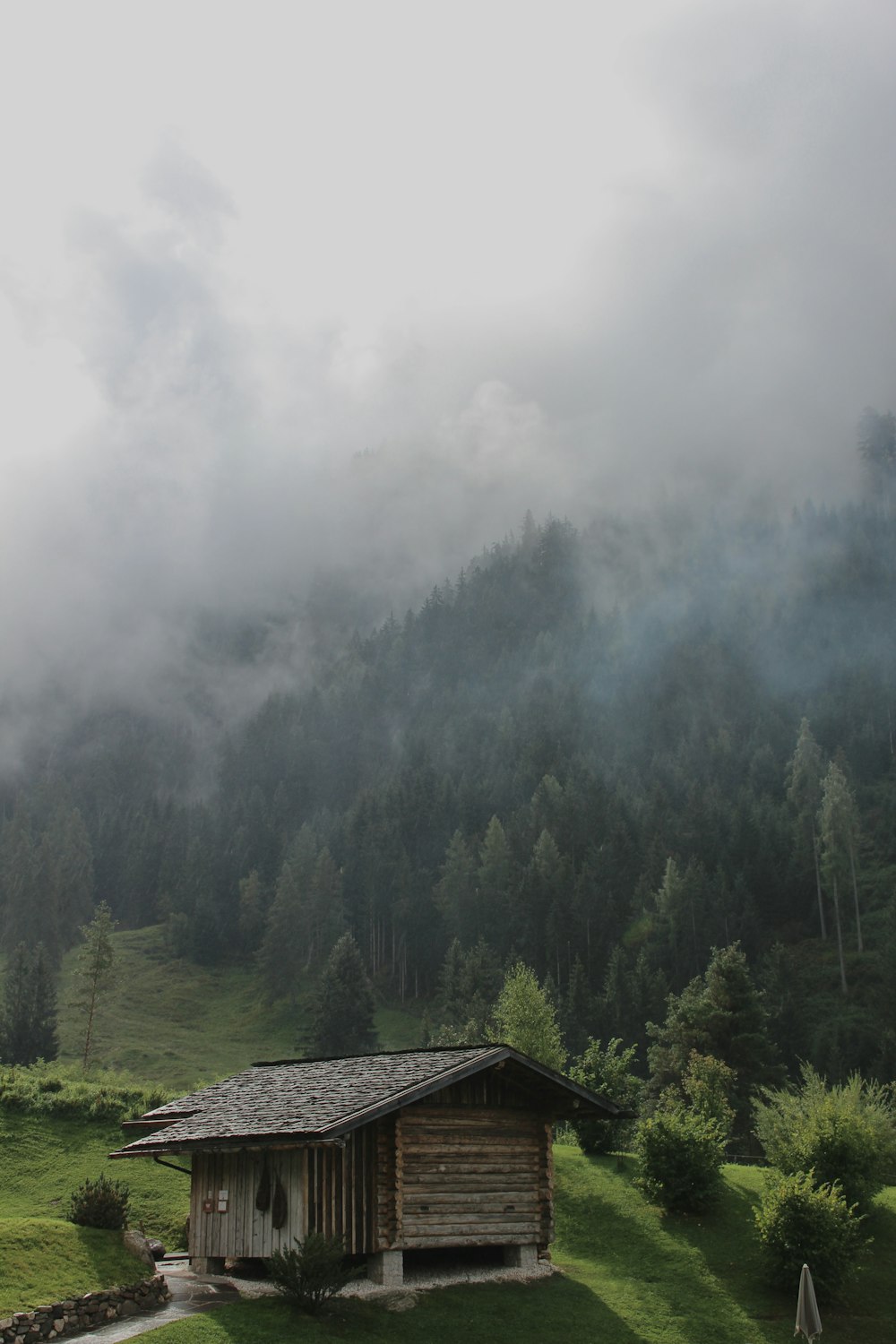 a cabin in the middle of a field with a mountain in the background