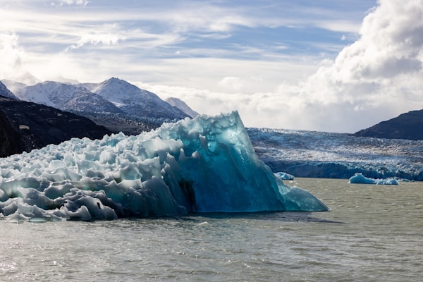 Full Day Trip into Torres del Paine National Park