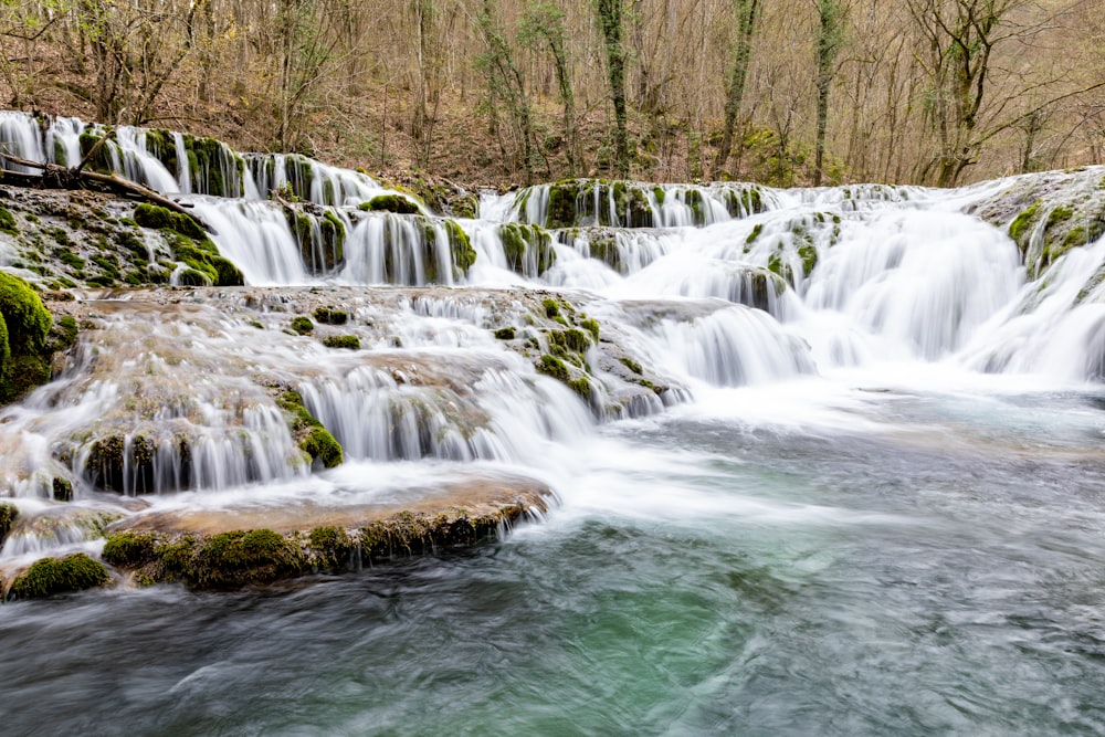 a small waterfall in the middle of a forest