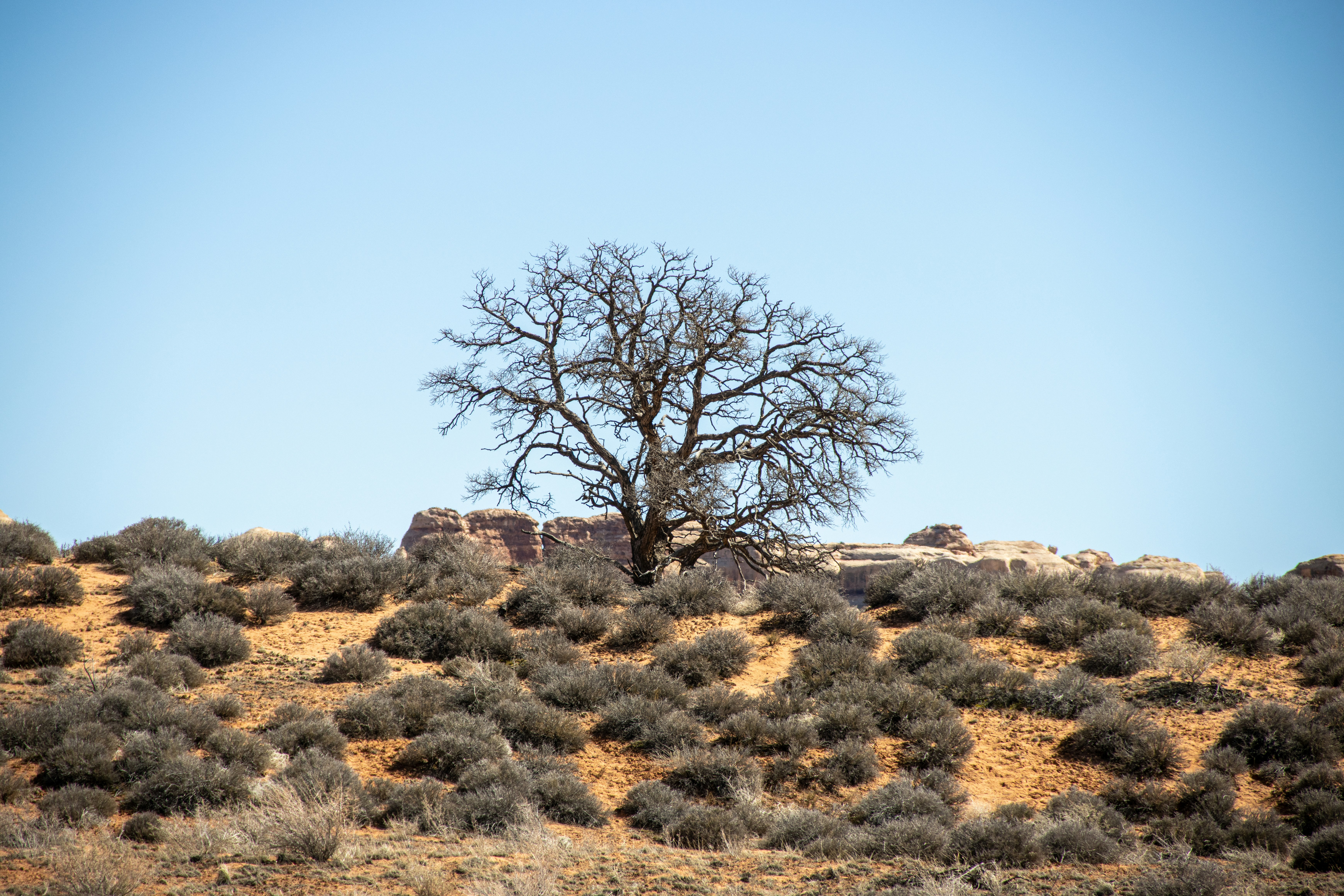 Photo by hitthetrailjack