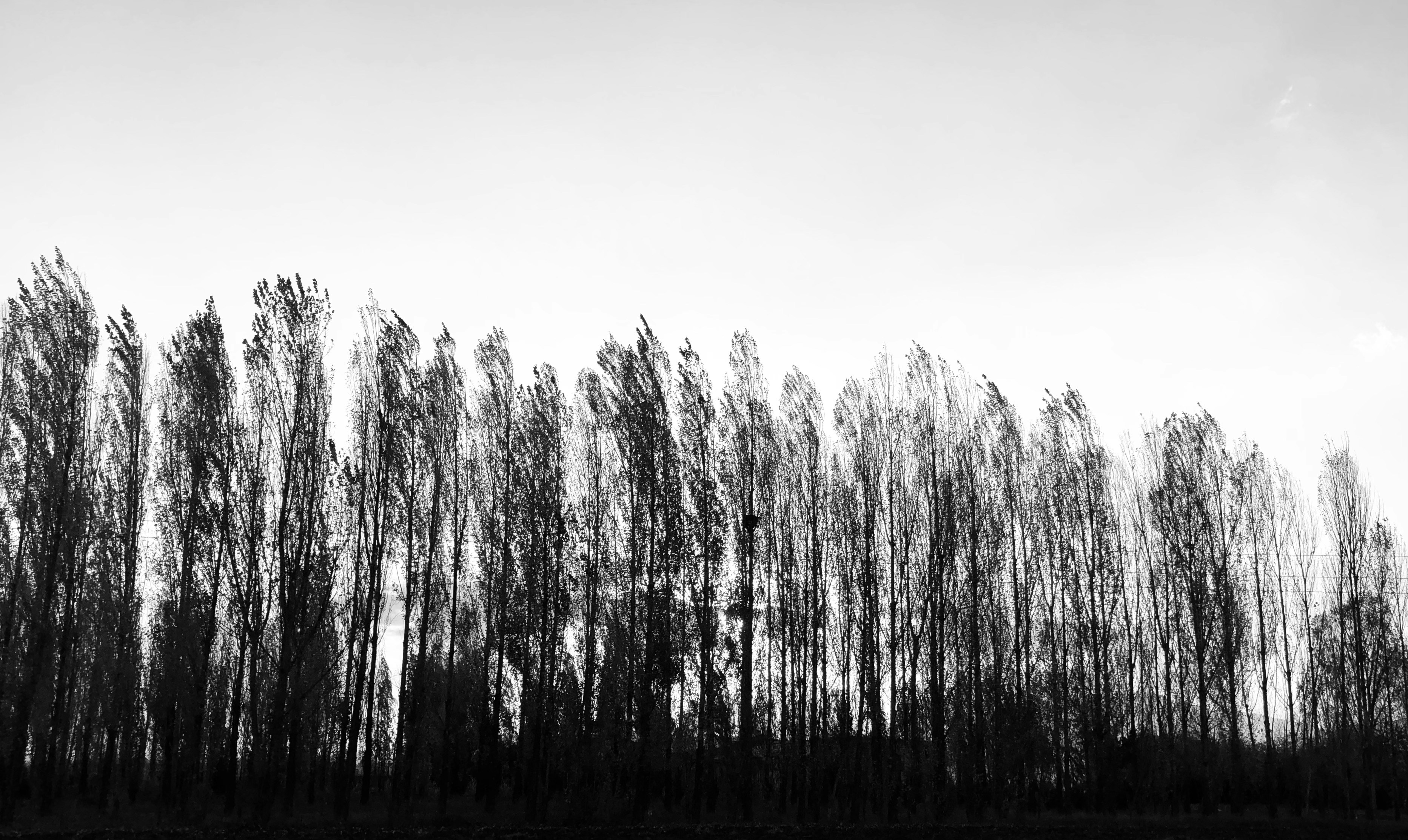 Photo by ali_mohammadii