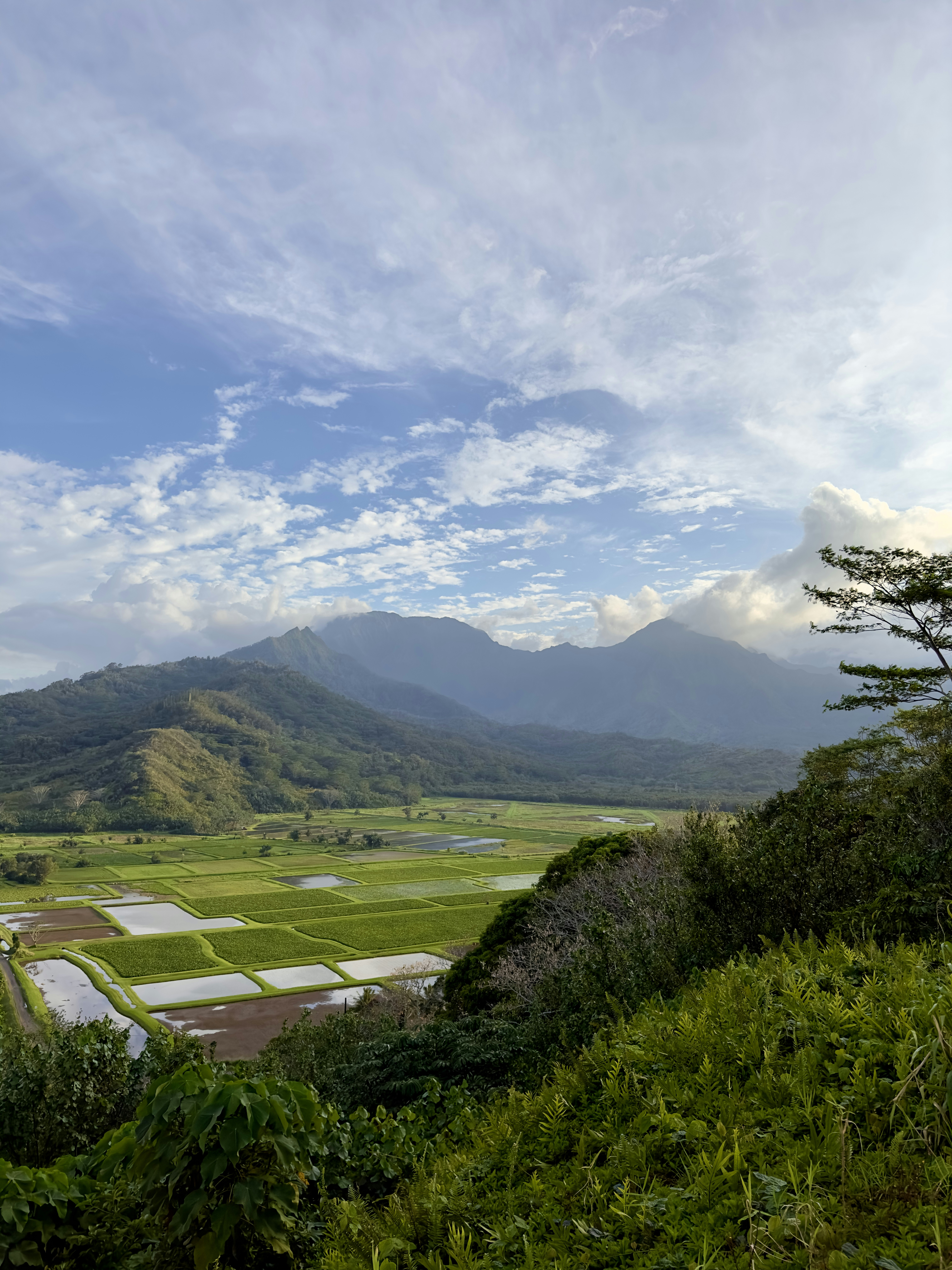 A local farmer tending to crops in a lush valley surrounded by mountains.