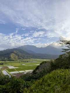 A local farmer tending to crops in a lush valley surrounded by mountains.