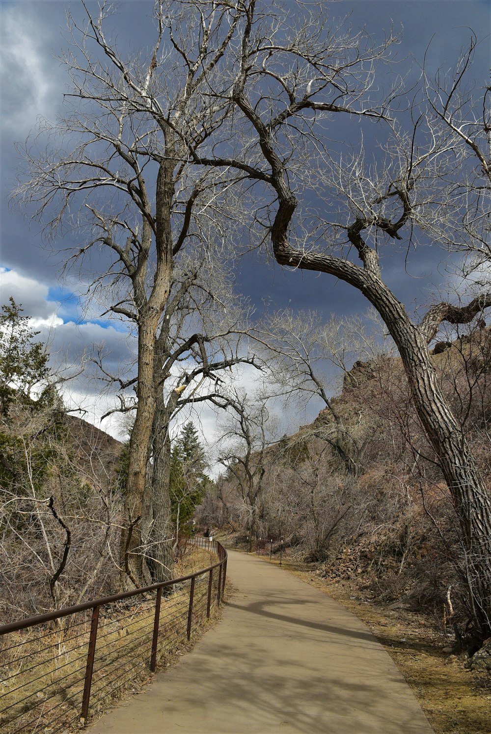 a dirt road with a fence and trees