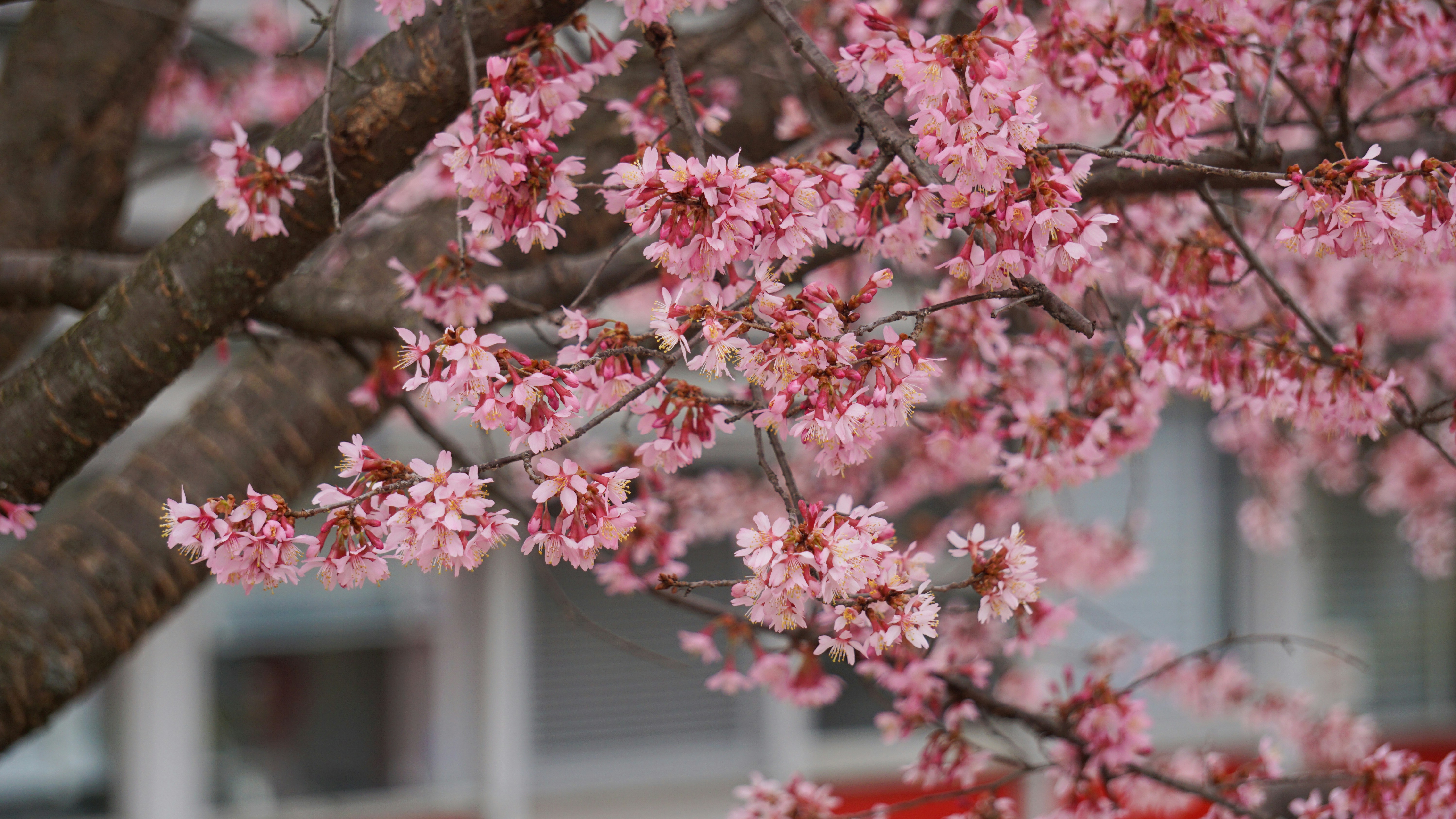 Photo by briantkester