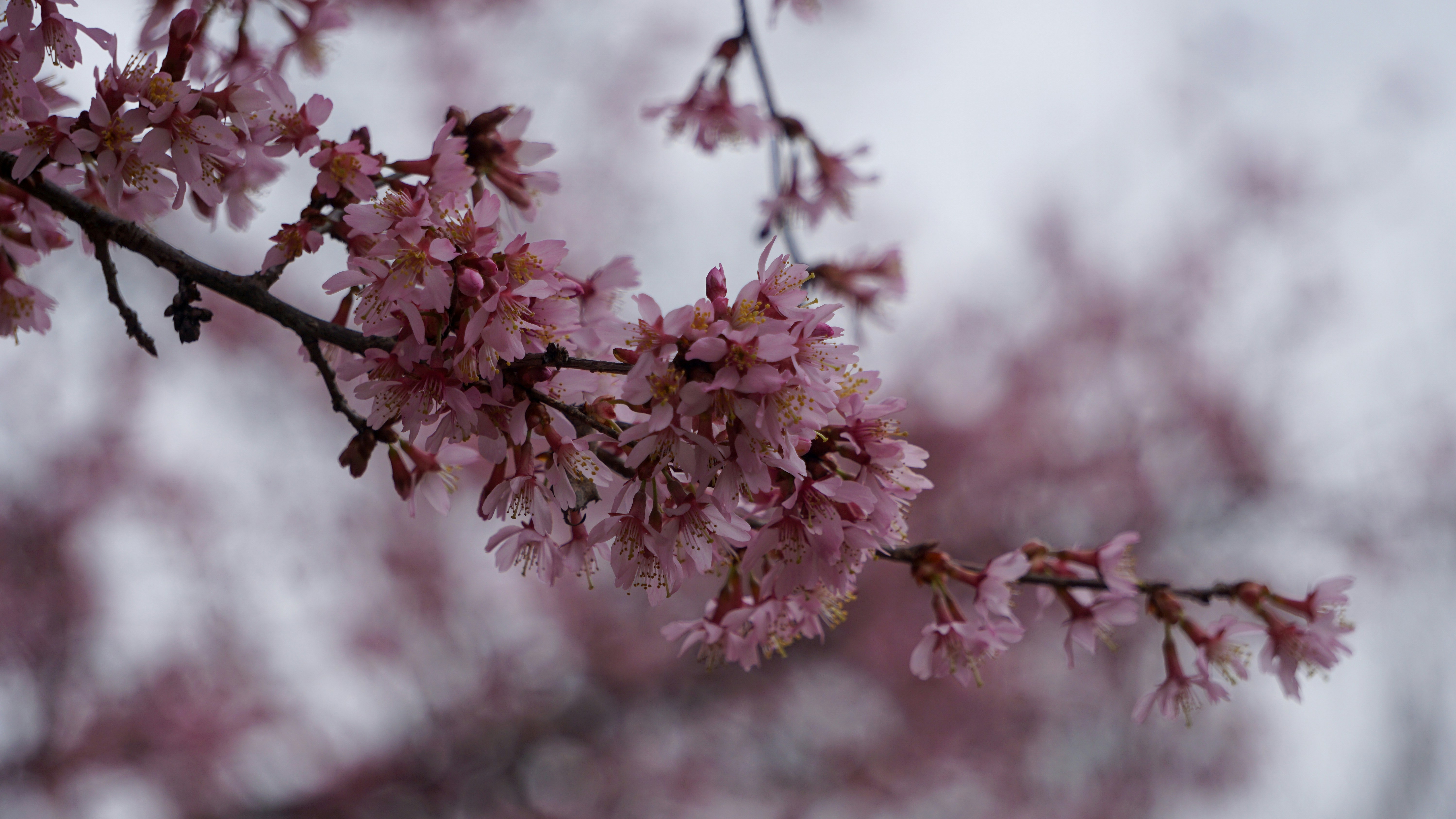 Photo by briantkester