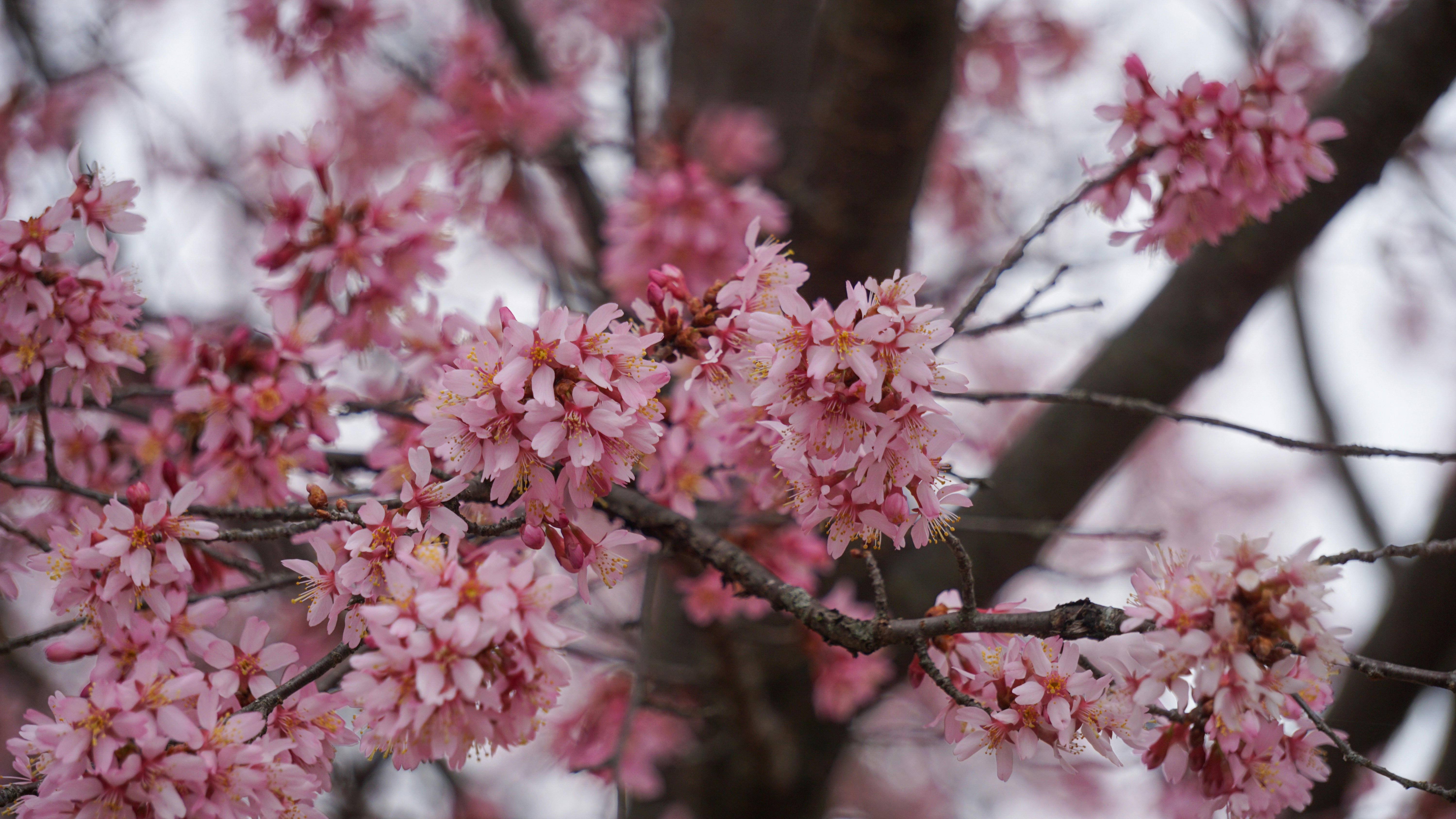 Photo by briantkester