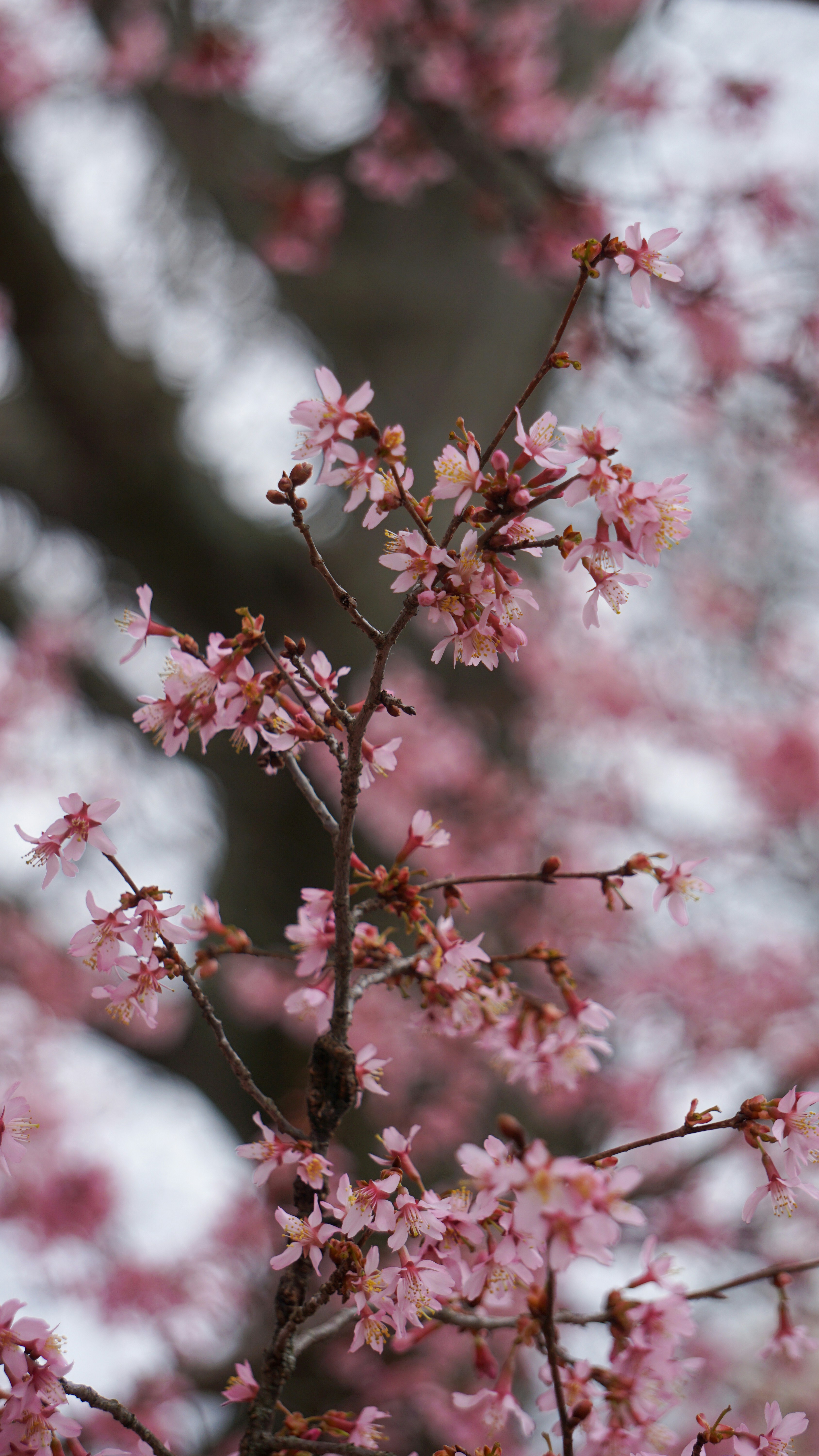 Photo by briantkester