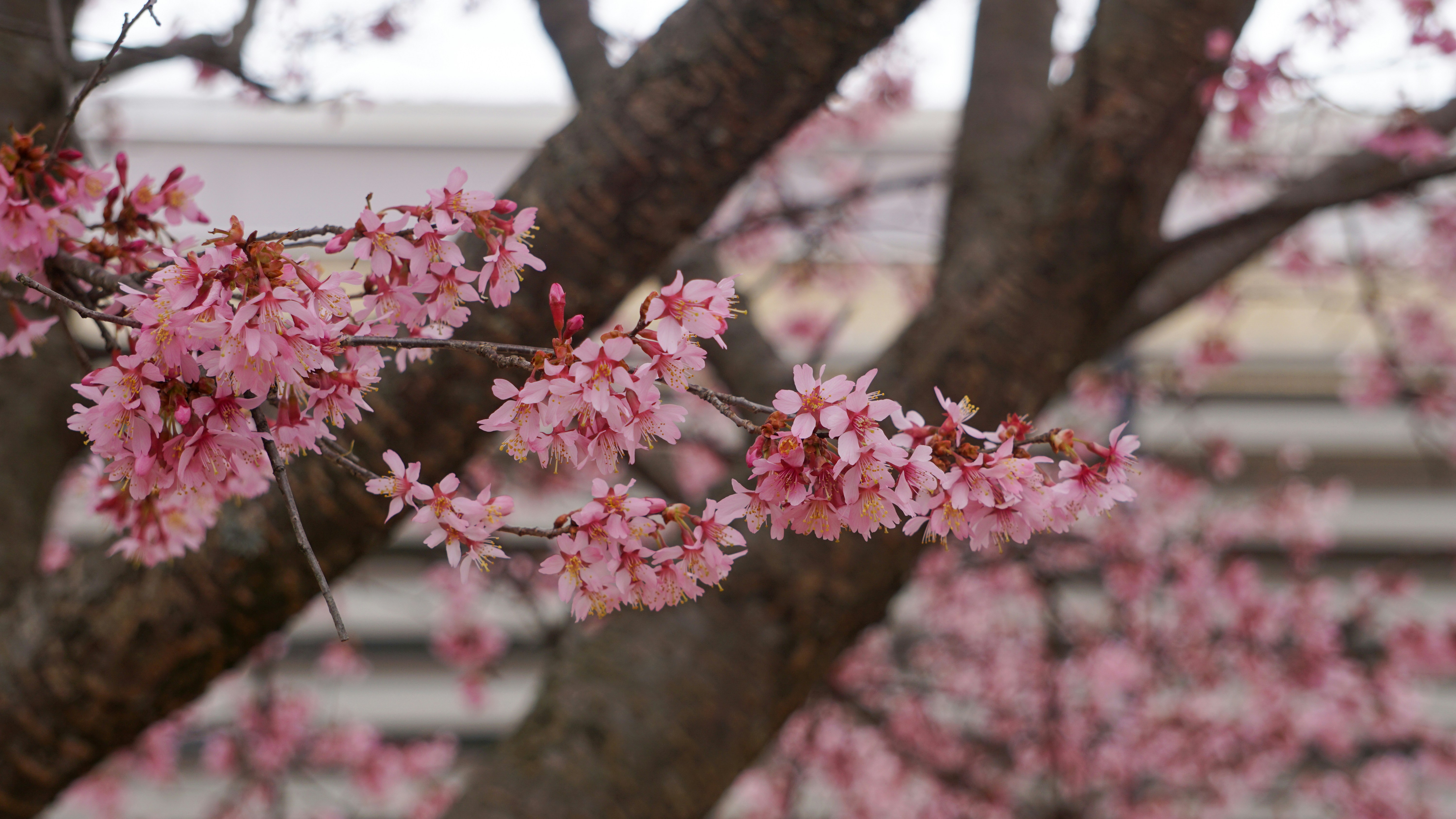 Photo by briantkester