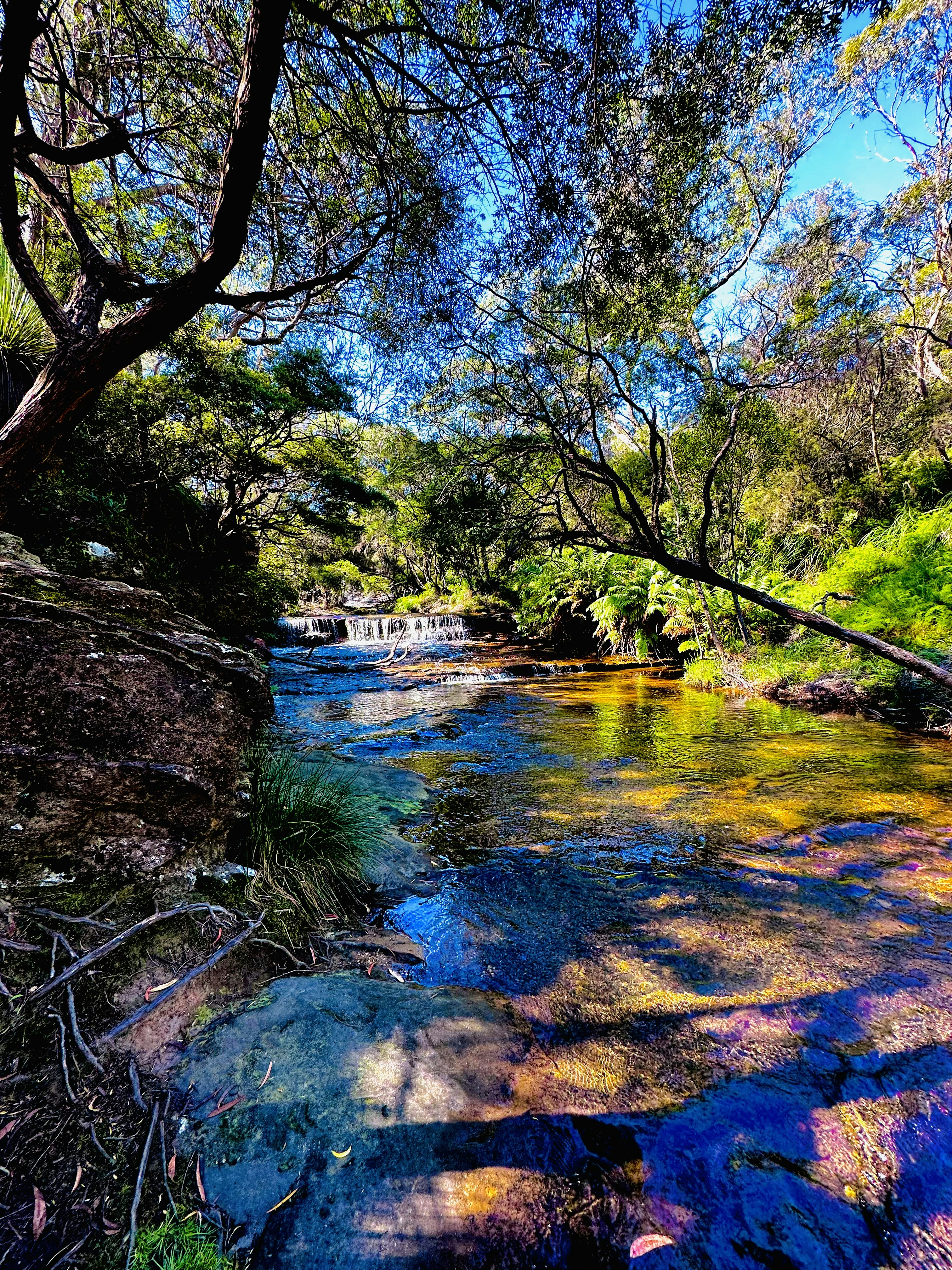 Photo by ashish_sunar