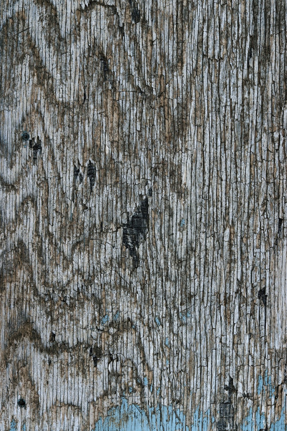 a close up of a wood textured with blue paint