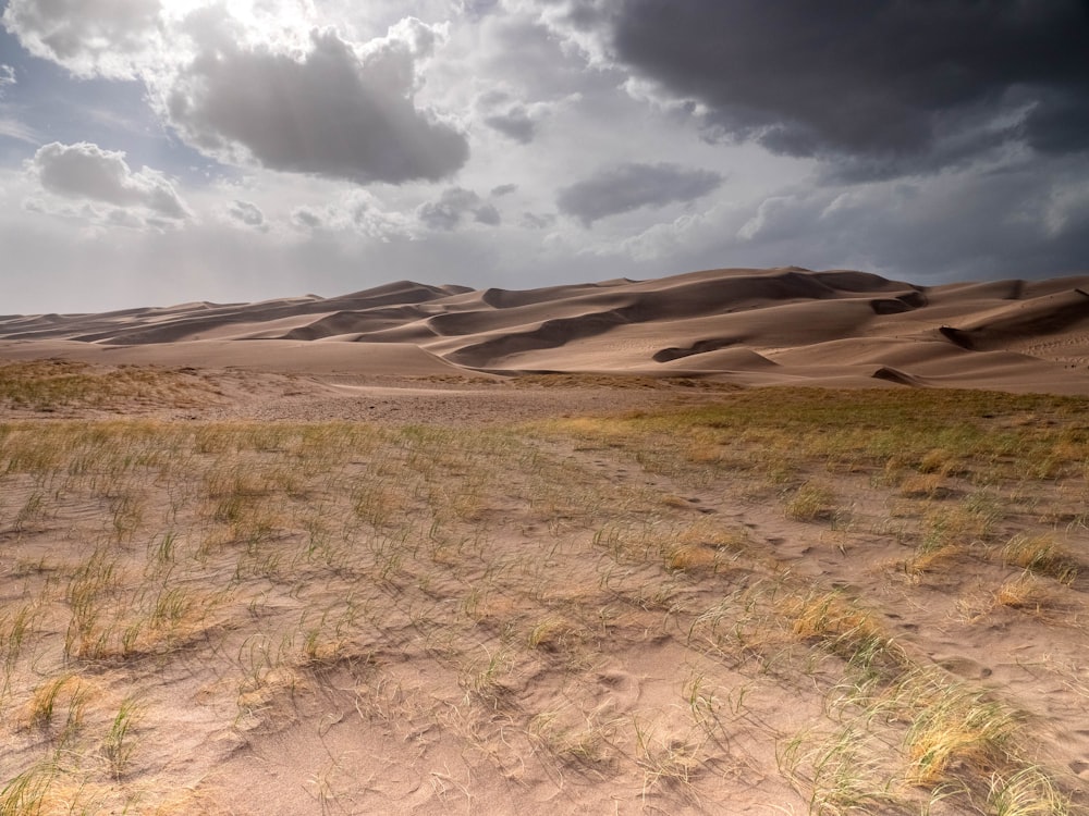 a field with grass and sand dunes under a cloudy sky
