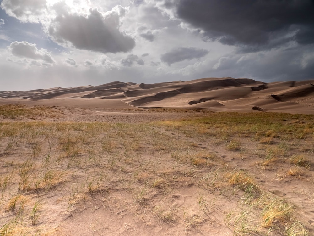 Un champ avec des dunes d’herbe et de sable sous un ciel nuageux