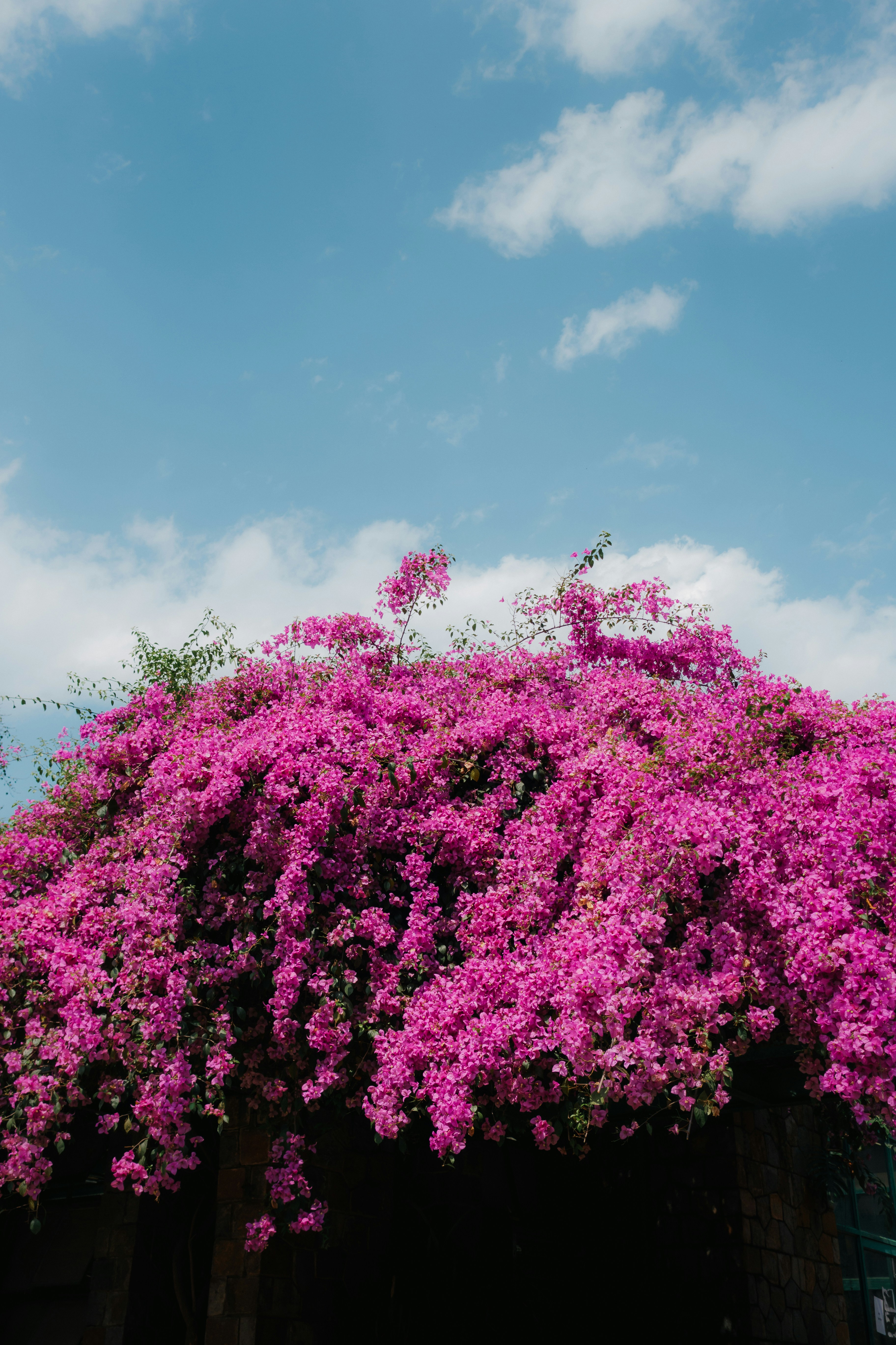 Photo by pramodtiwari