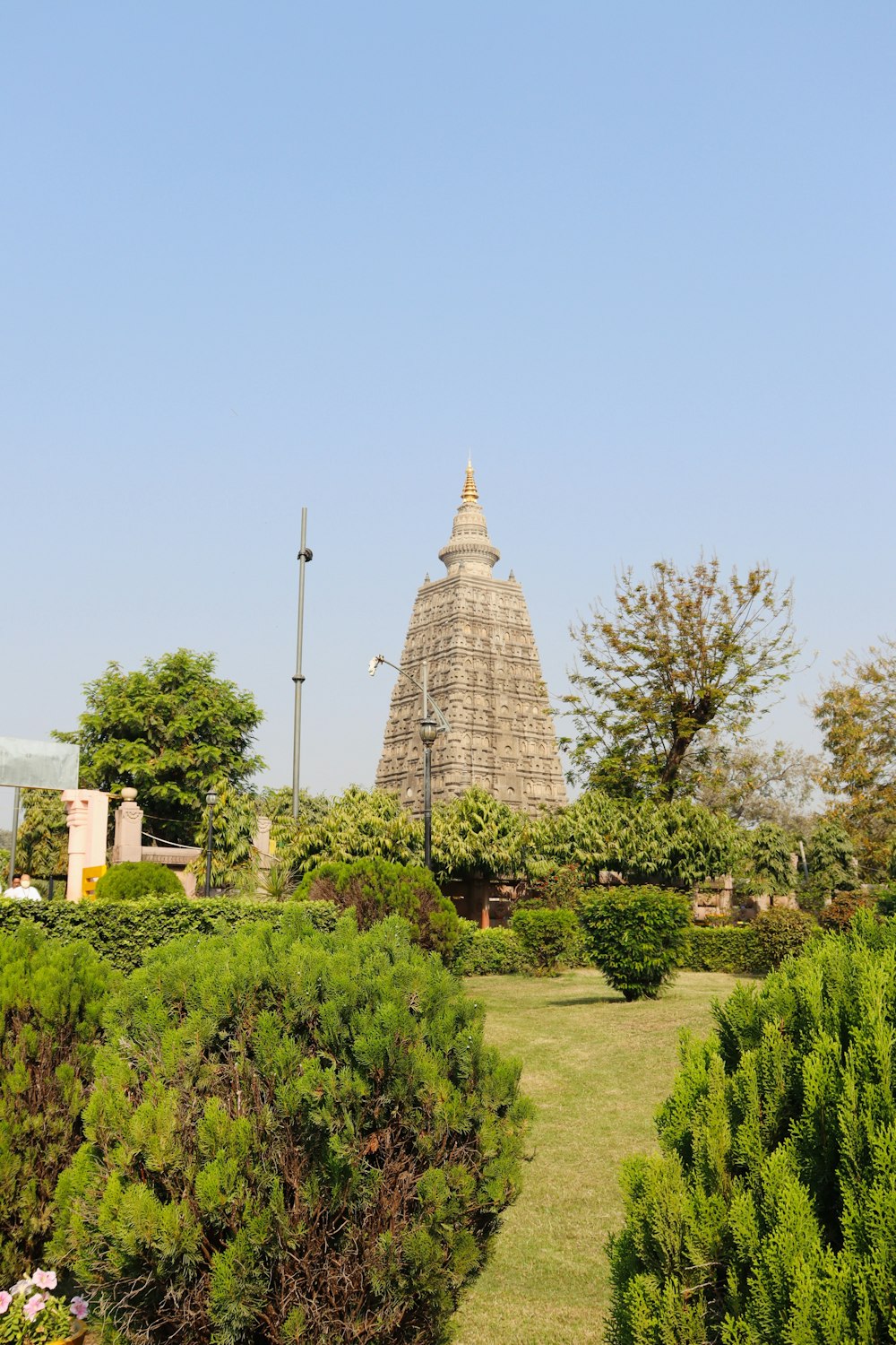 a view of a garden with a building in the background