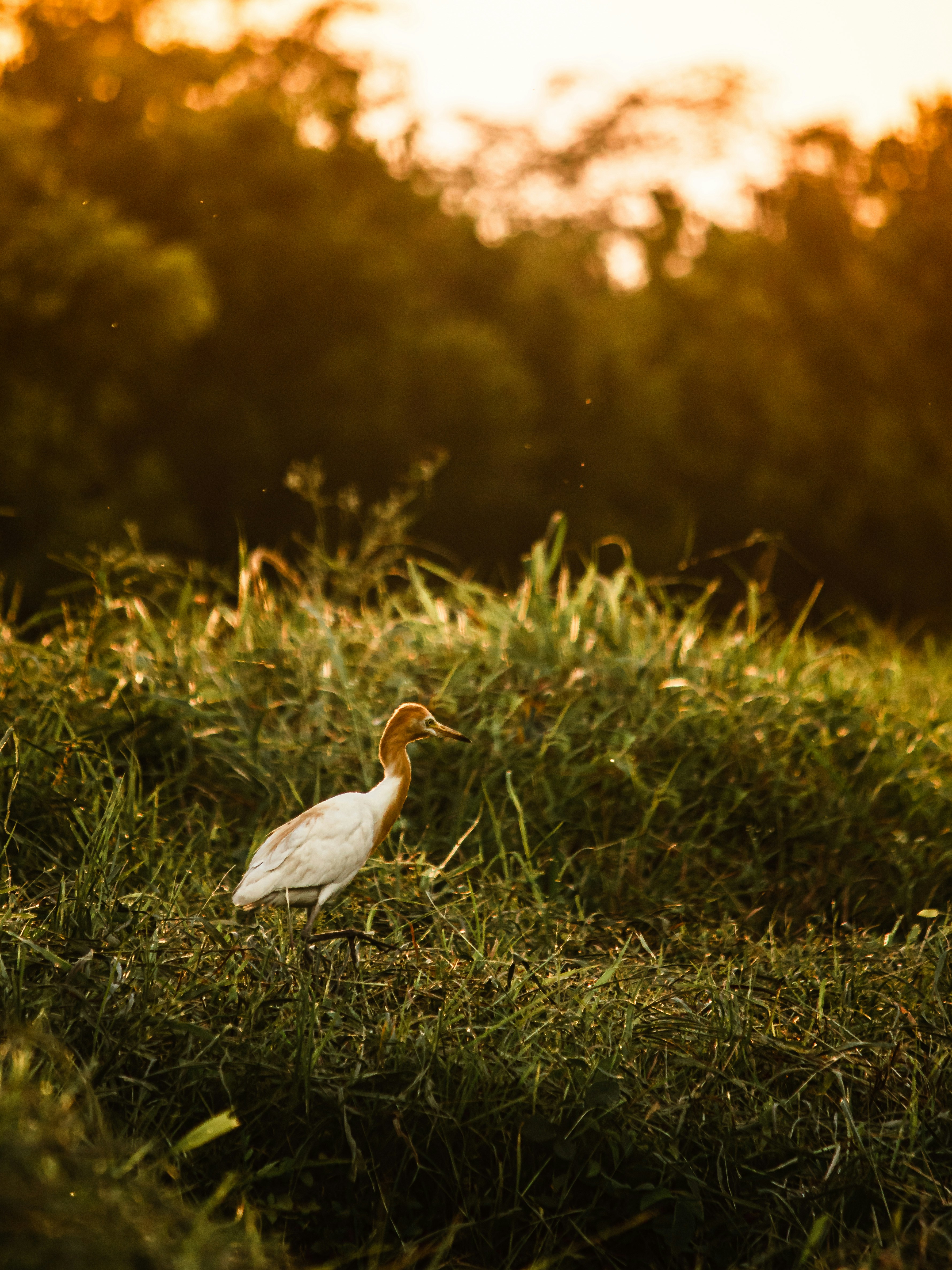 Photo by harshit_suryawanshi