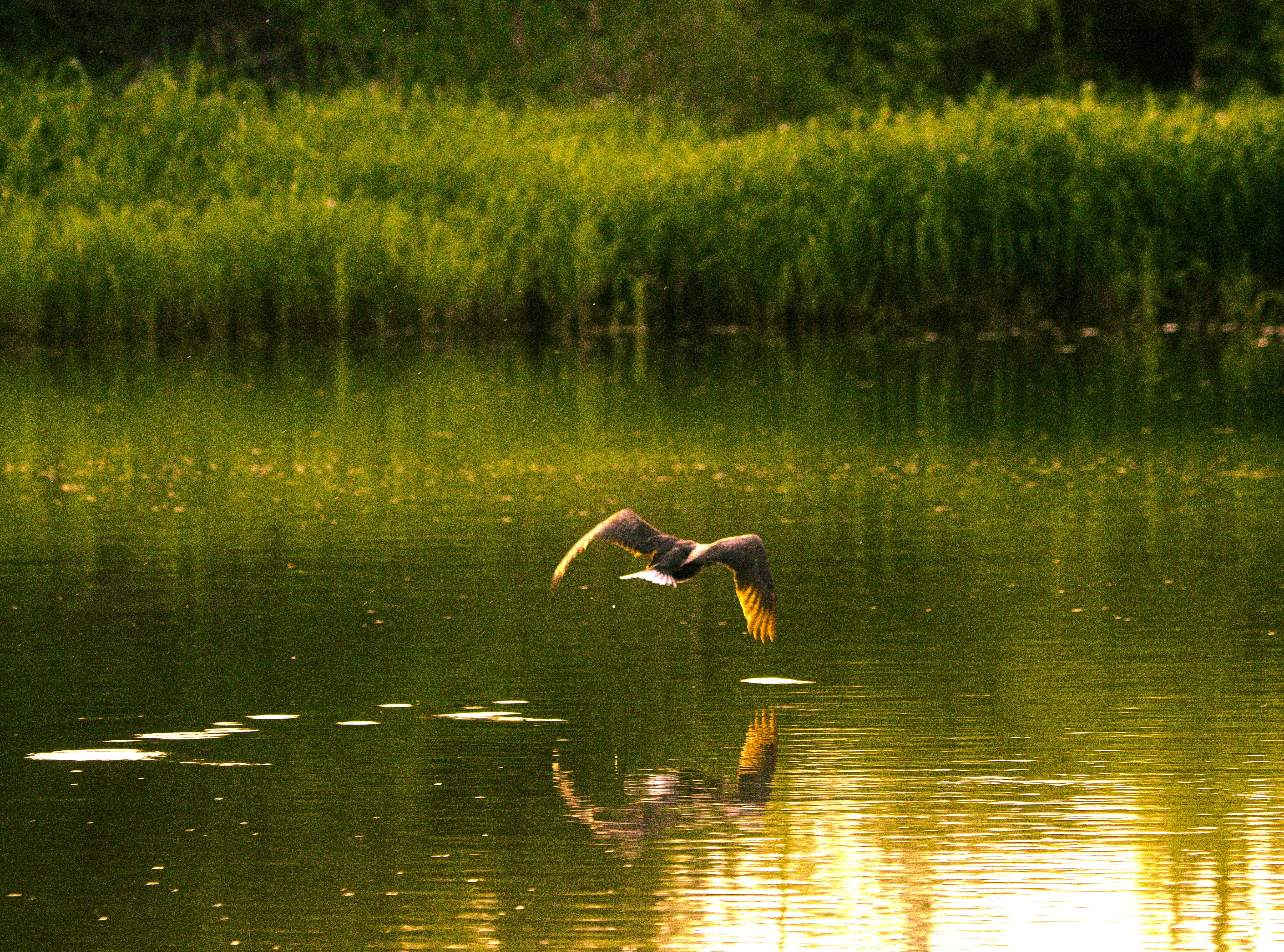 Photo by harshit_suryawanshi